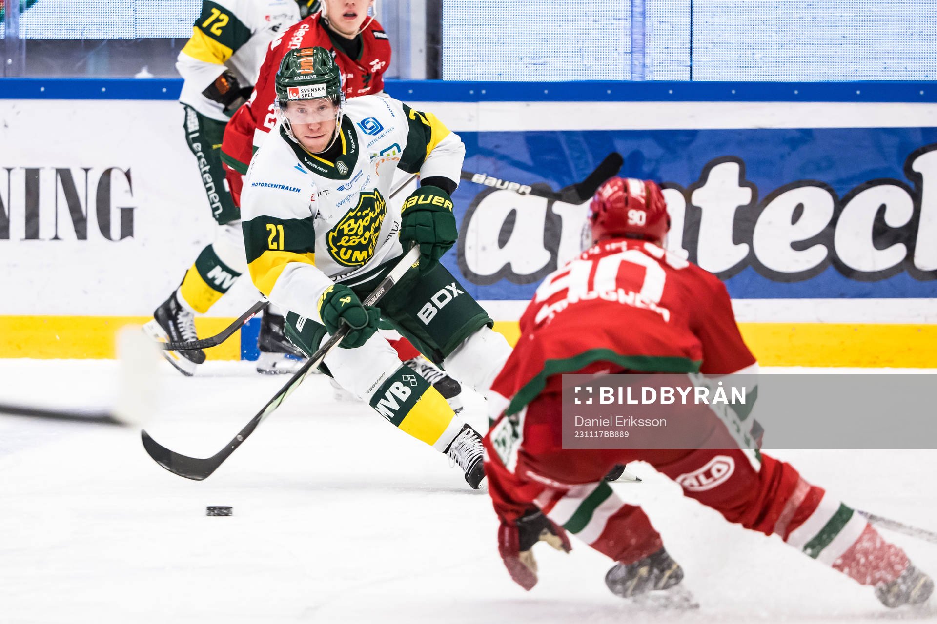 Björklövens Myles Powell