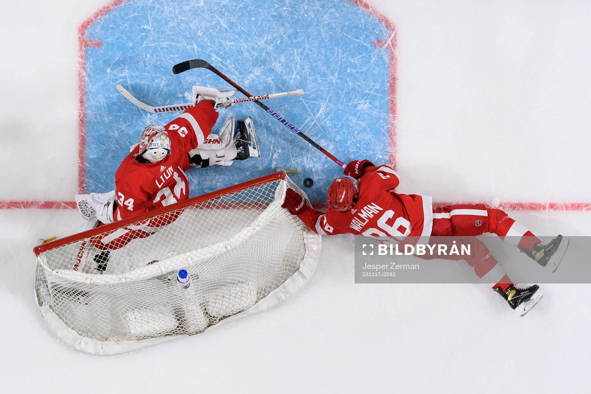 goalkeeper Alex Lyon and Jake Walman of Detroit Red Wings