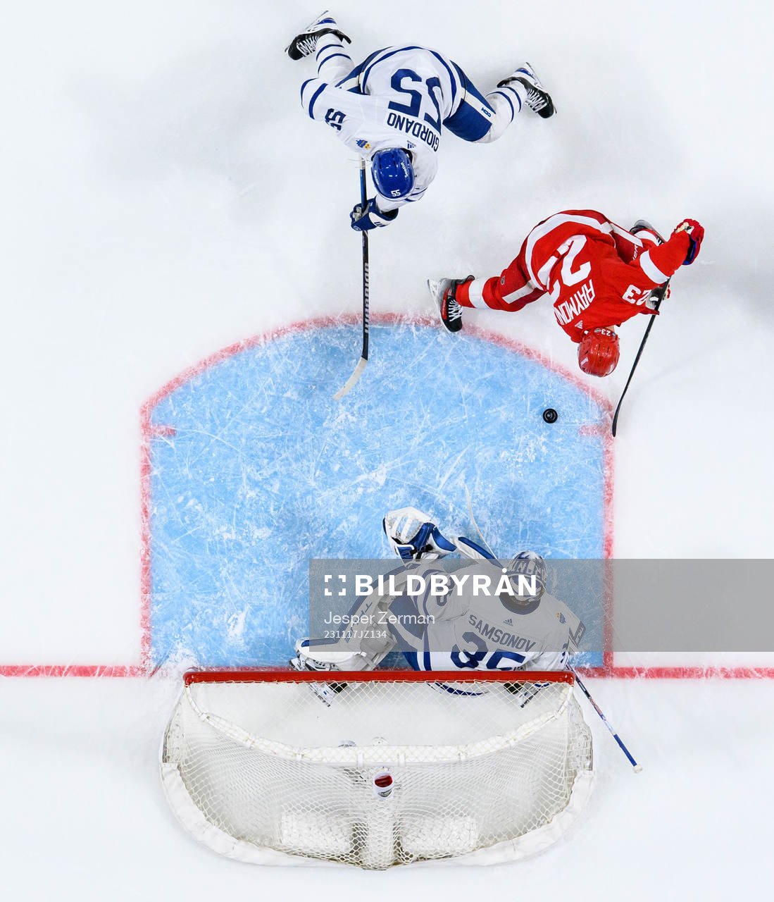 Mark Giordano and goalkeeper Ilya Samsonov of Toronto Maple