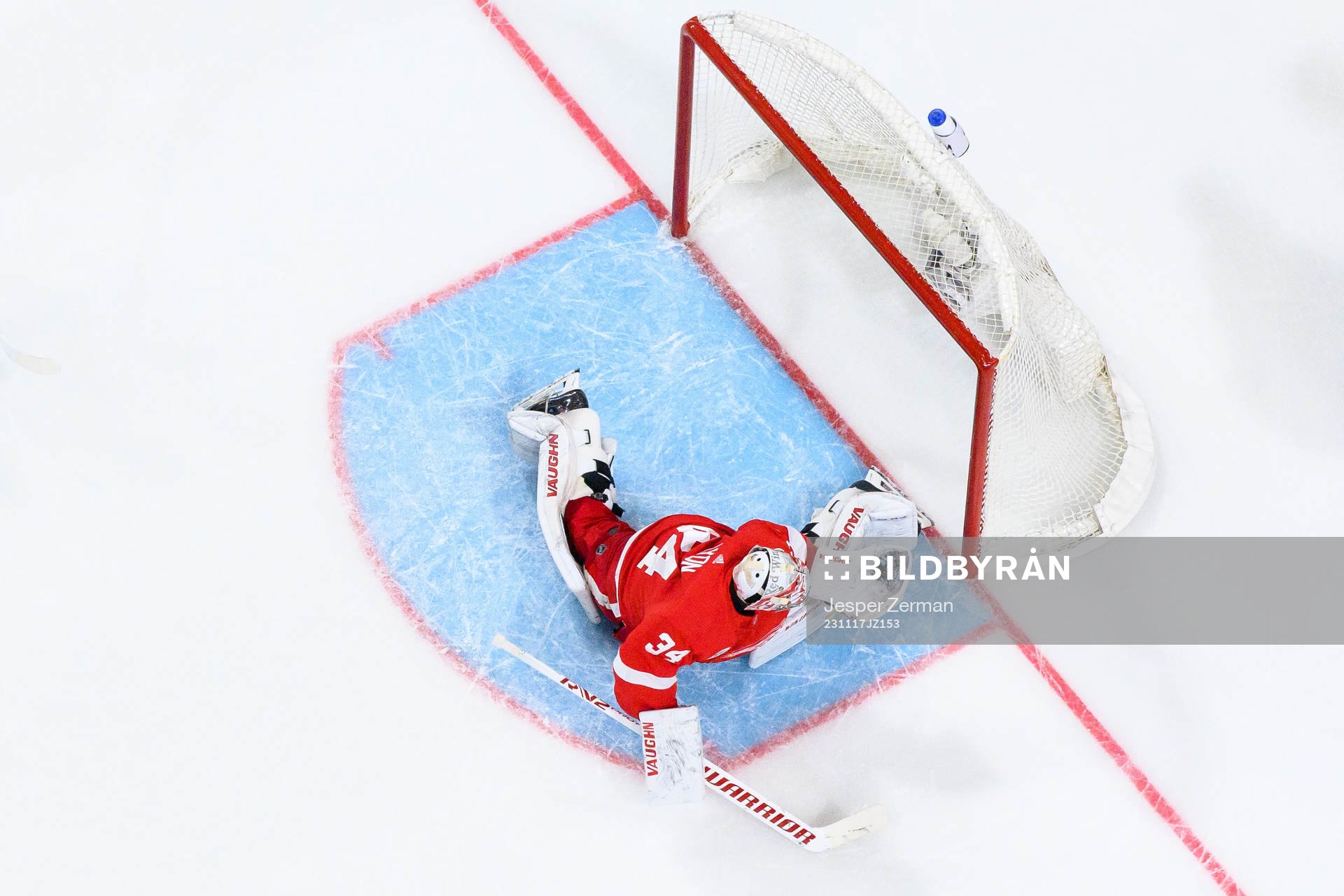 goalkeeper Alex Lyon of Detroit Red Wings