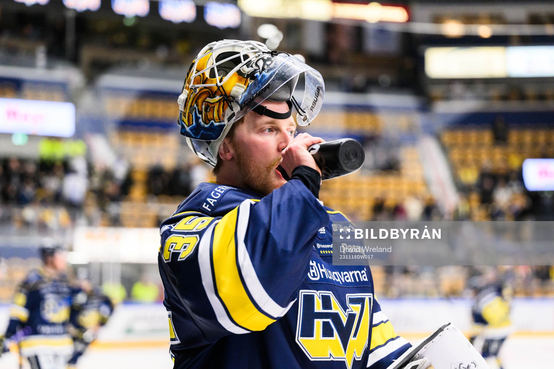 HV71s målvakt Victor Brattström