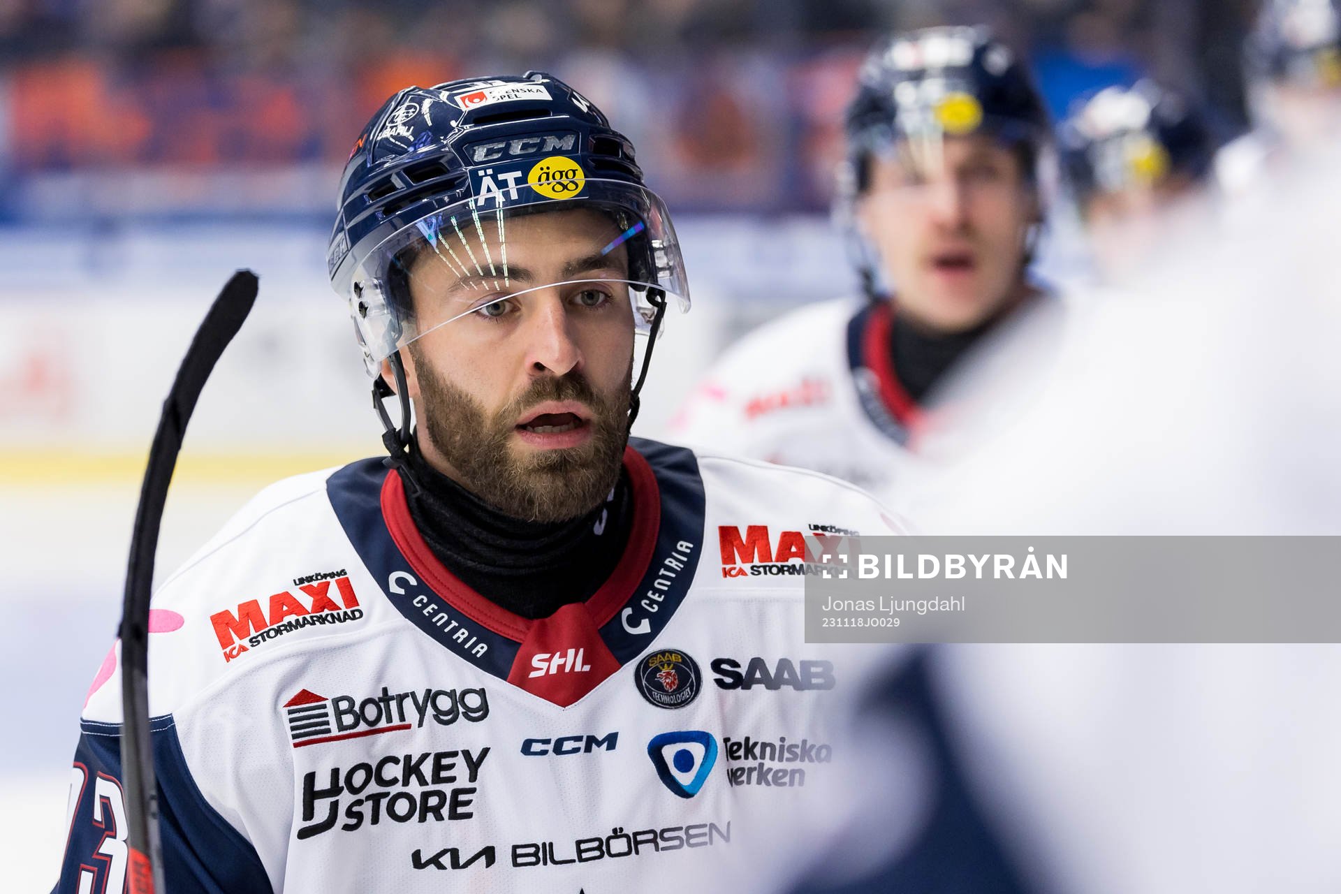 Linköpings Anthony Greco jublar