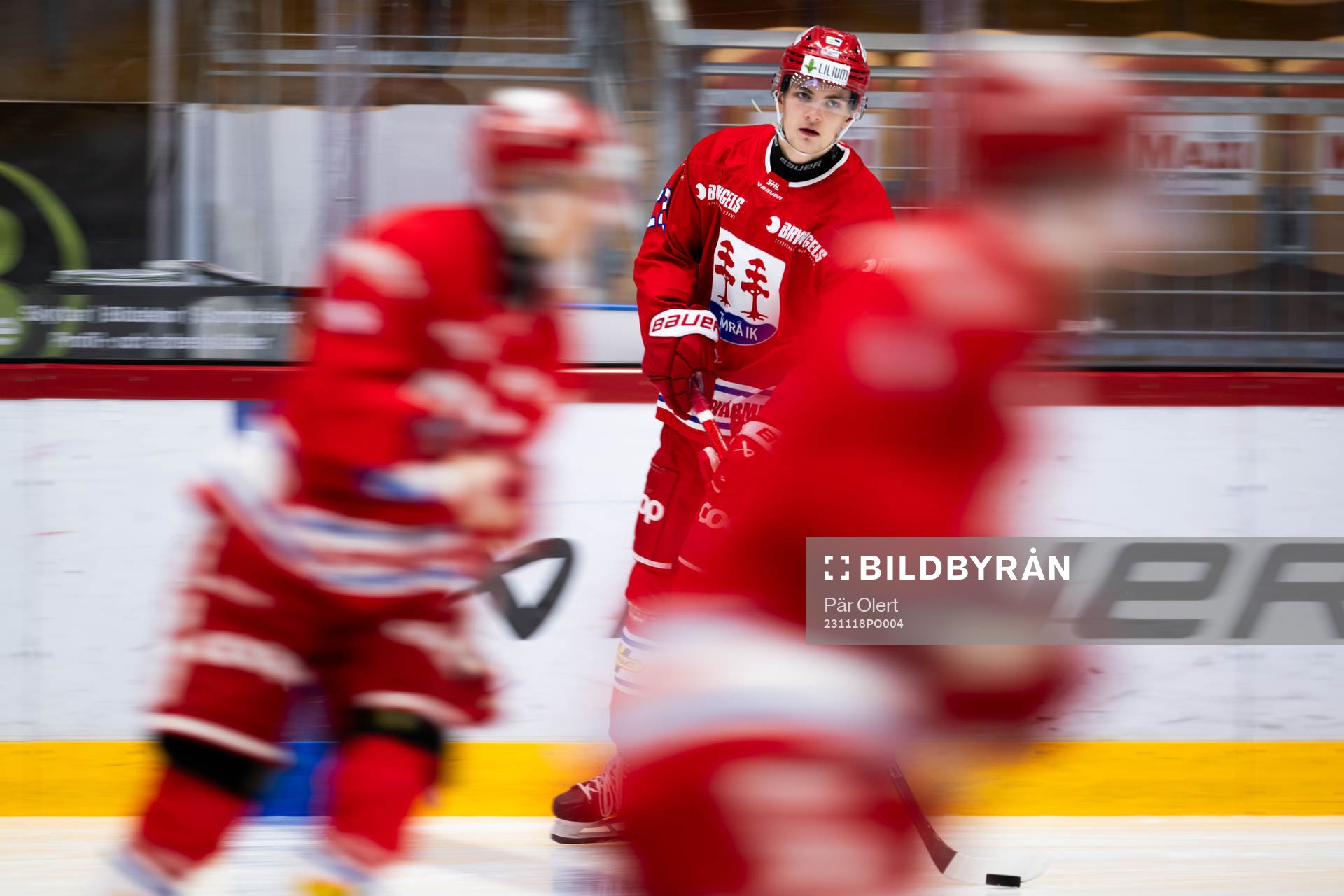 Timrås Dennis Värmhed