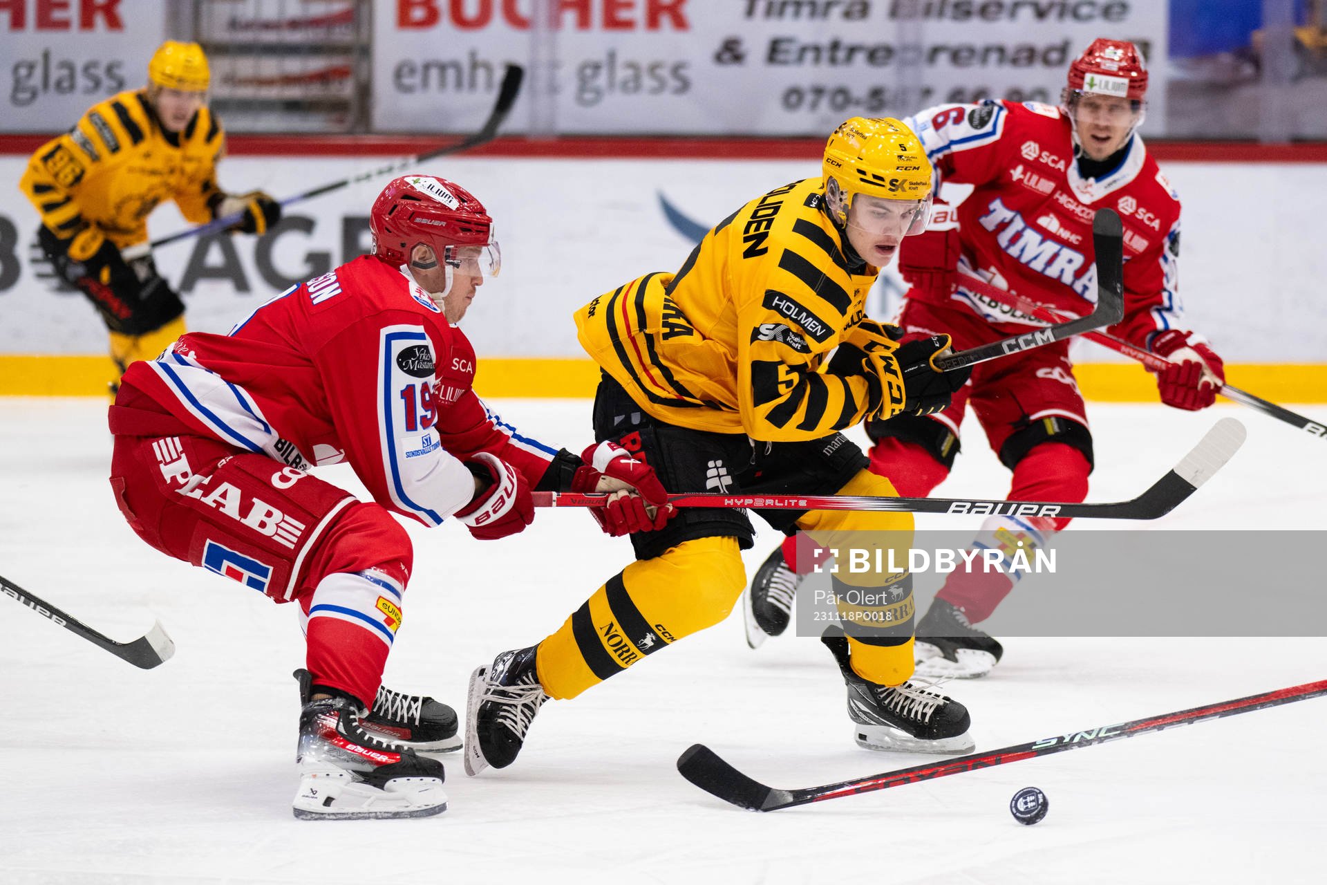 Timrås Erik Andersson och Skellefteås Axel Sandin Pellikka