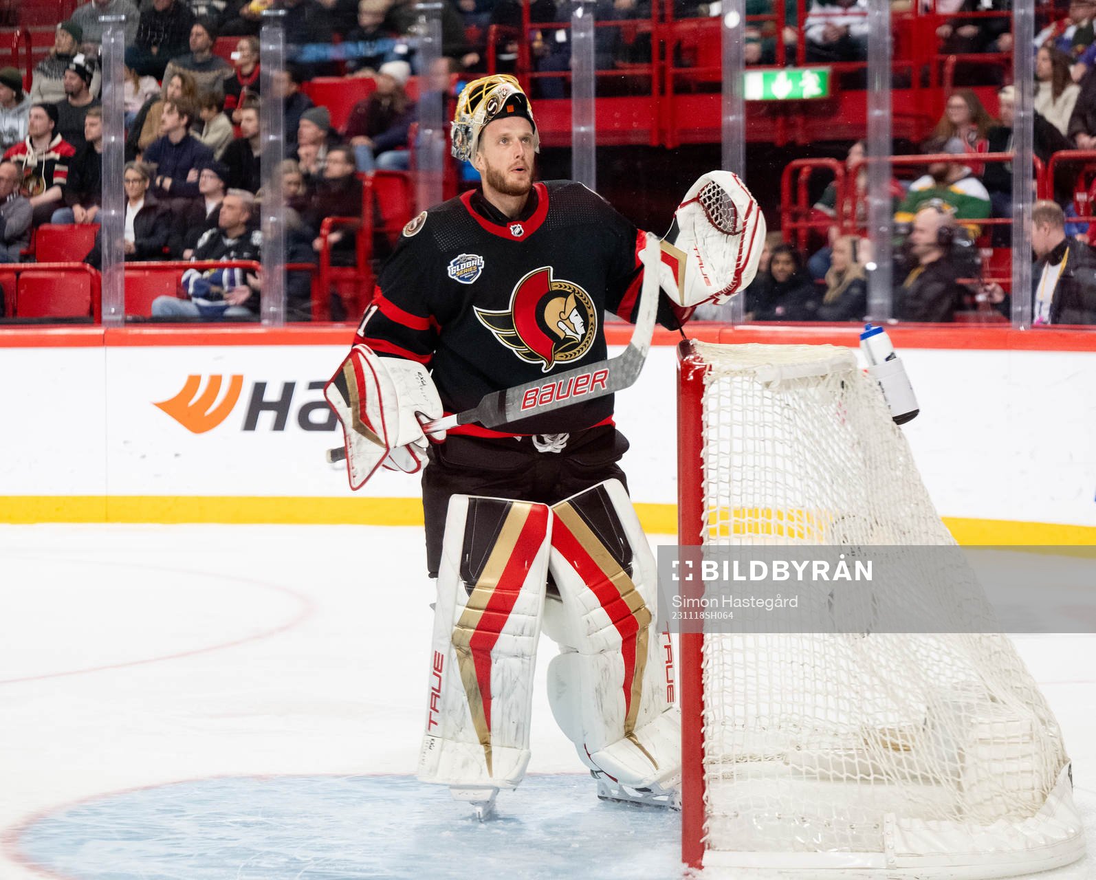 Goaltender Anton Forsberg of Ottawa Senators