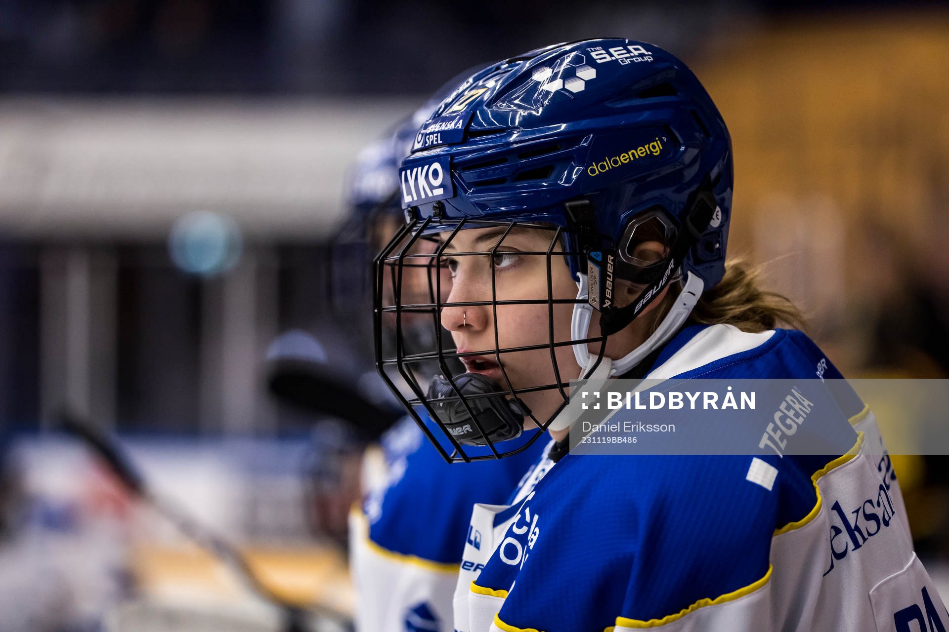 Leksands Shay Maloney