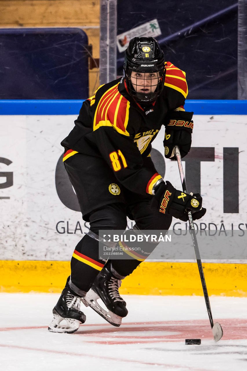 Brynäs Noemi Neubauerova