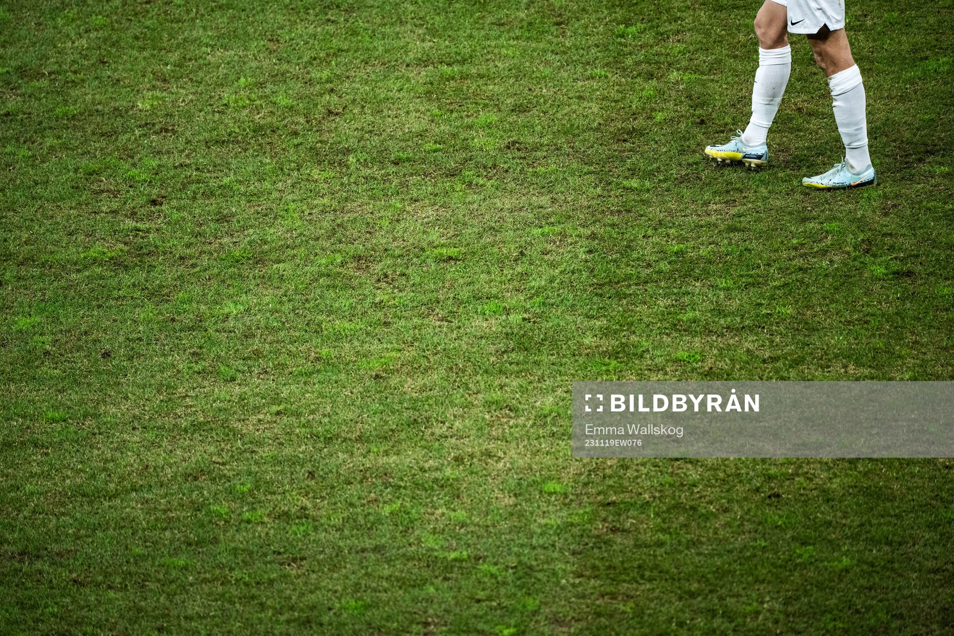 The grass pitch