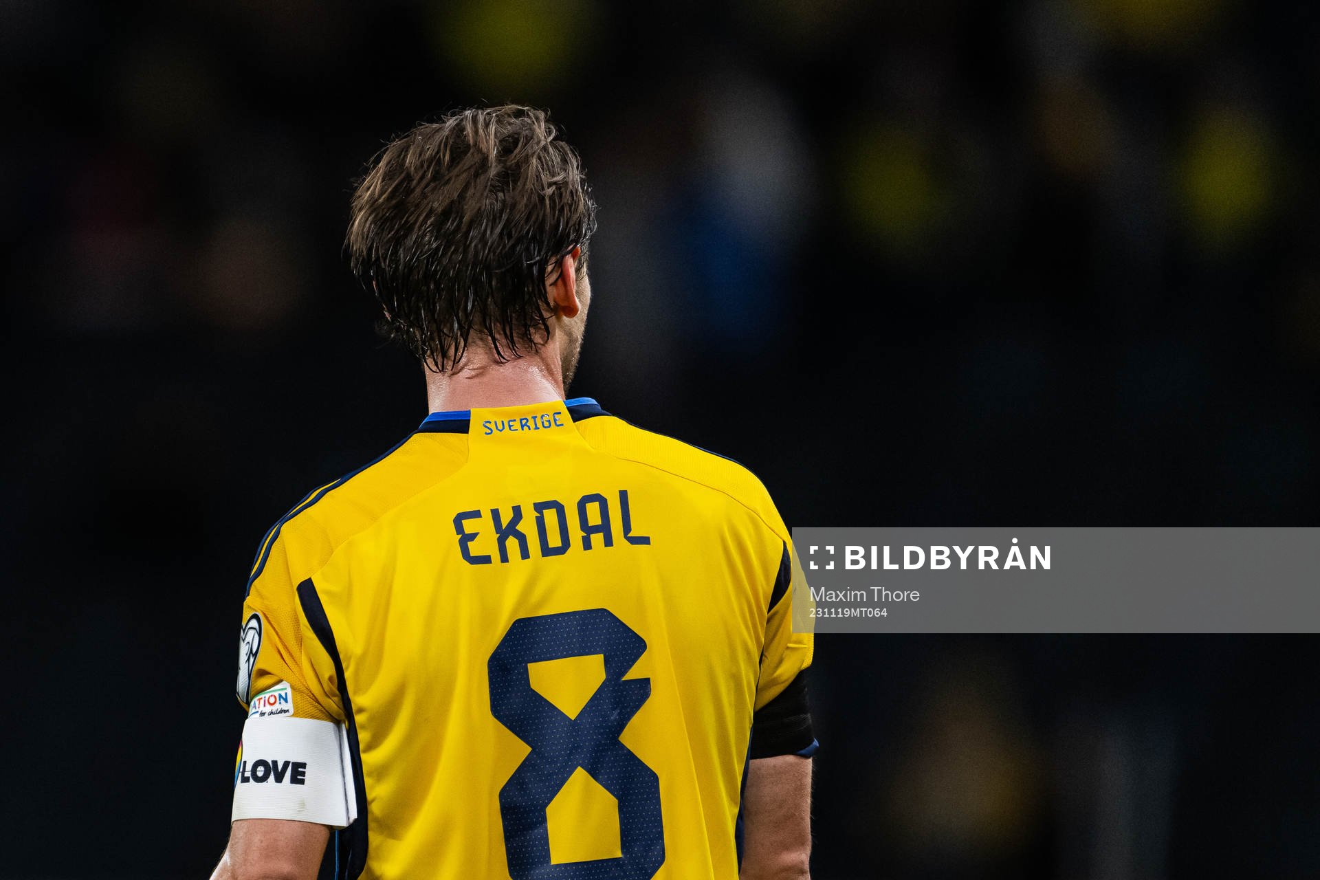 Albin Ekdal of Sweden