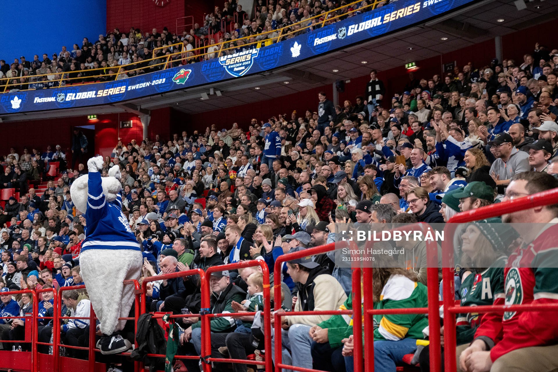 The Mascot of Toronto Maple Leafs