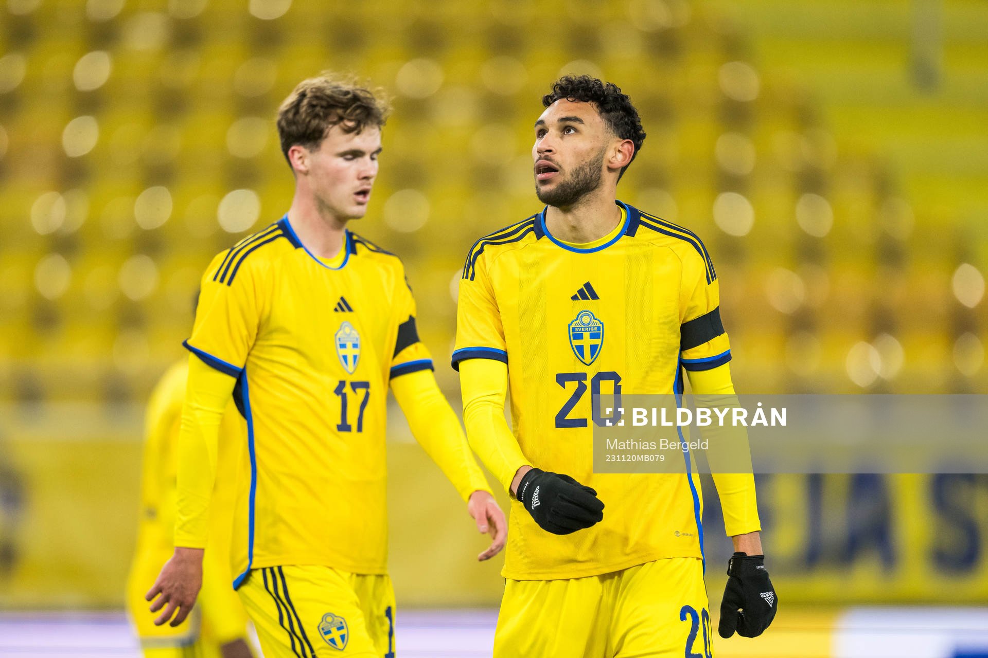 Williot Swedberg and Joakim Persson of Sweden