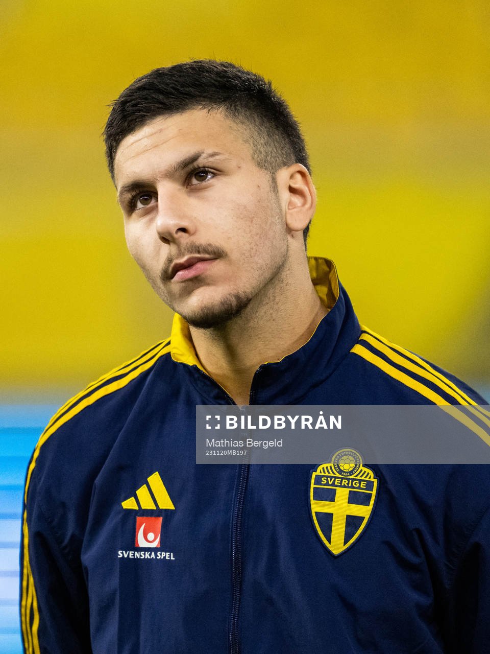 Roony Bardghji of Sweden