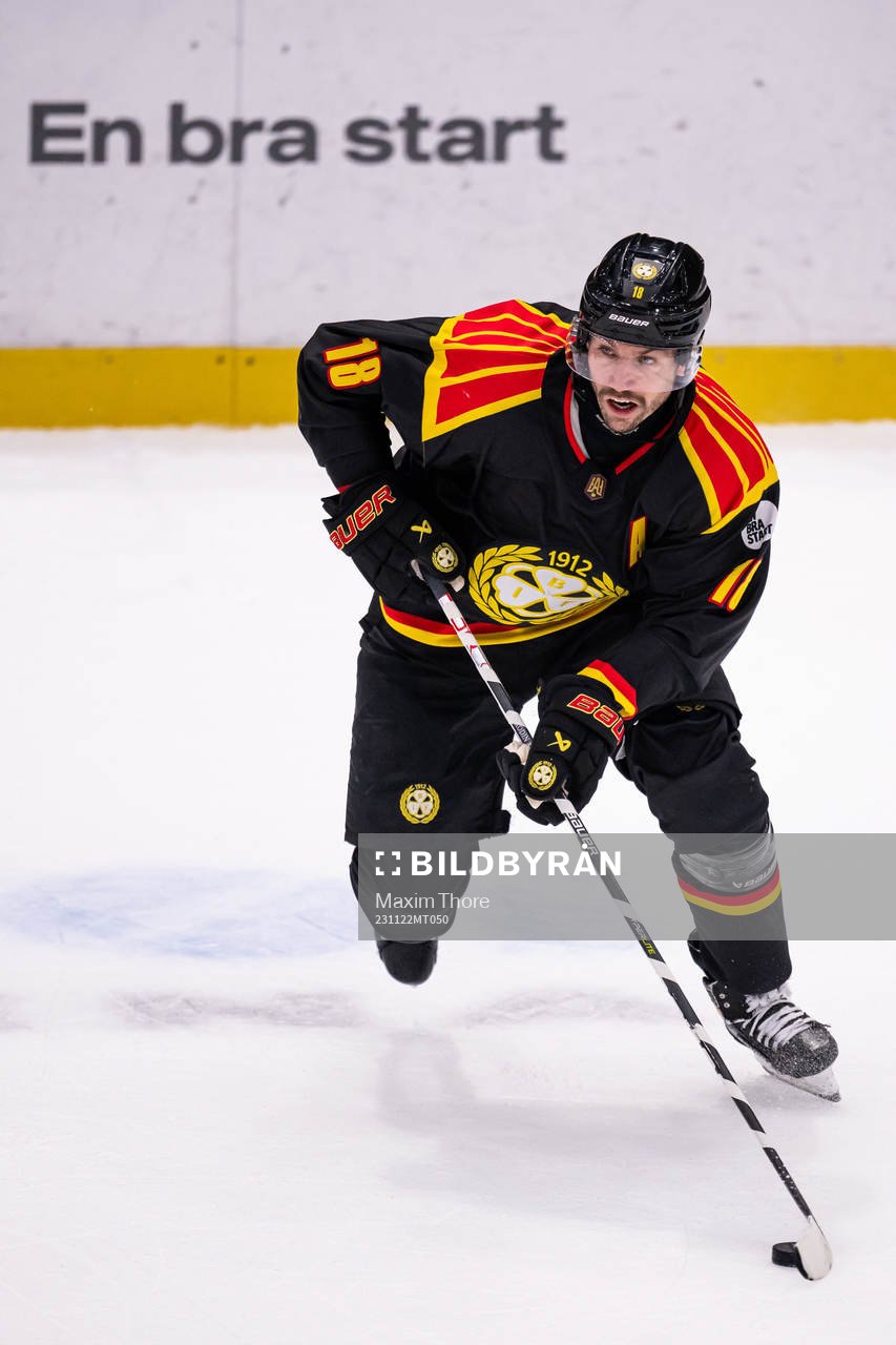 Brynäs Anton Rödin