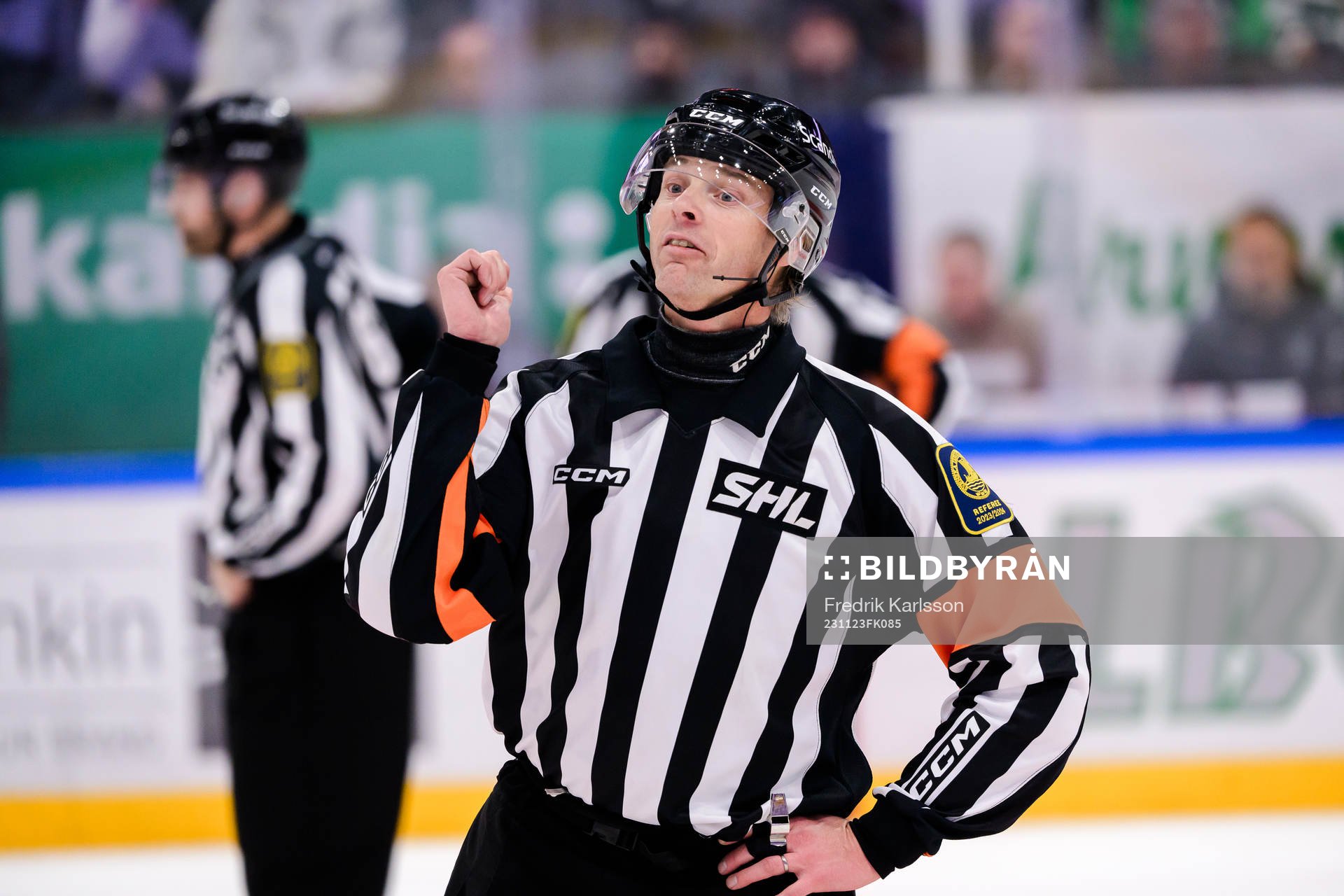 Domare Mikael Andersson