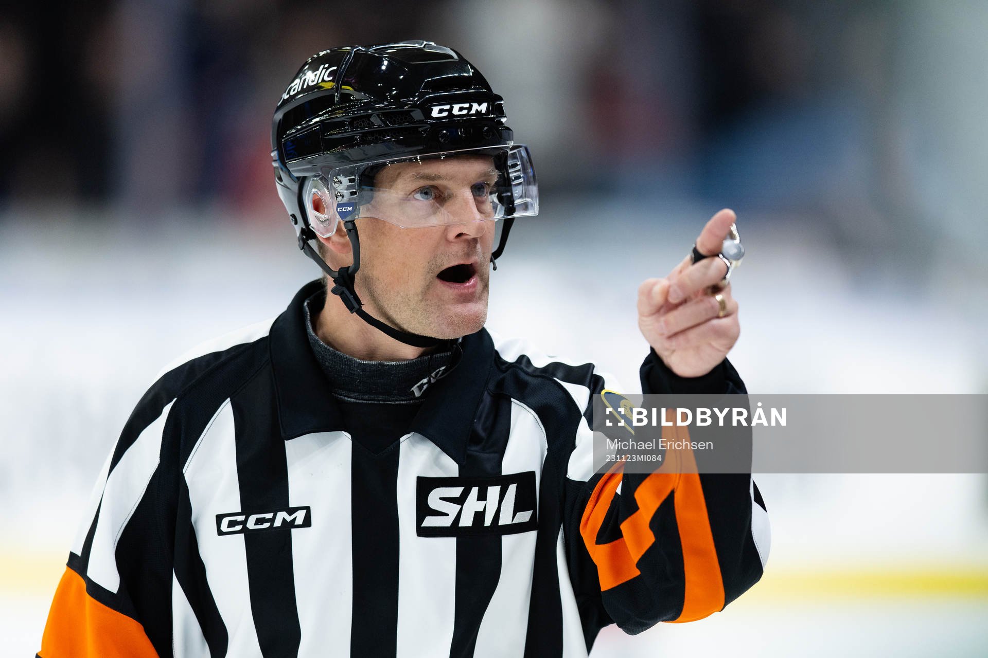 Domare Mikael Nord