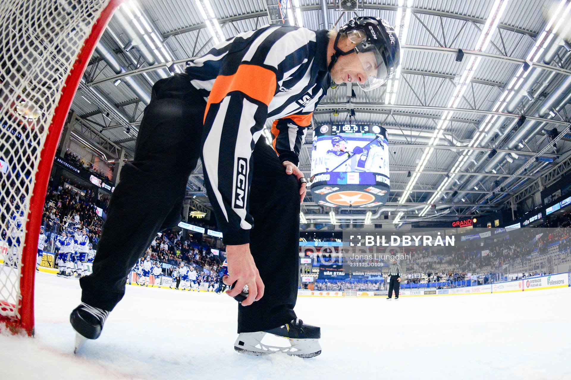 Domare Mikael Andersson