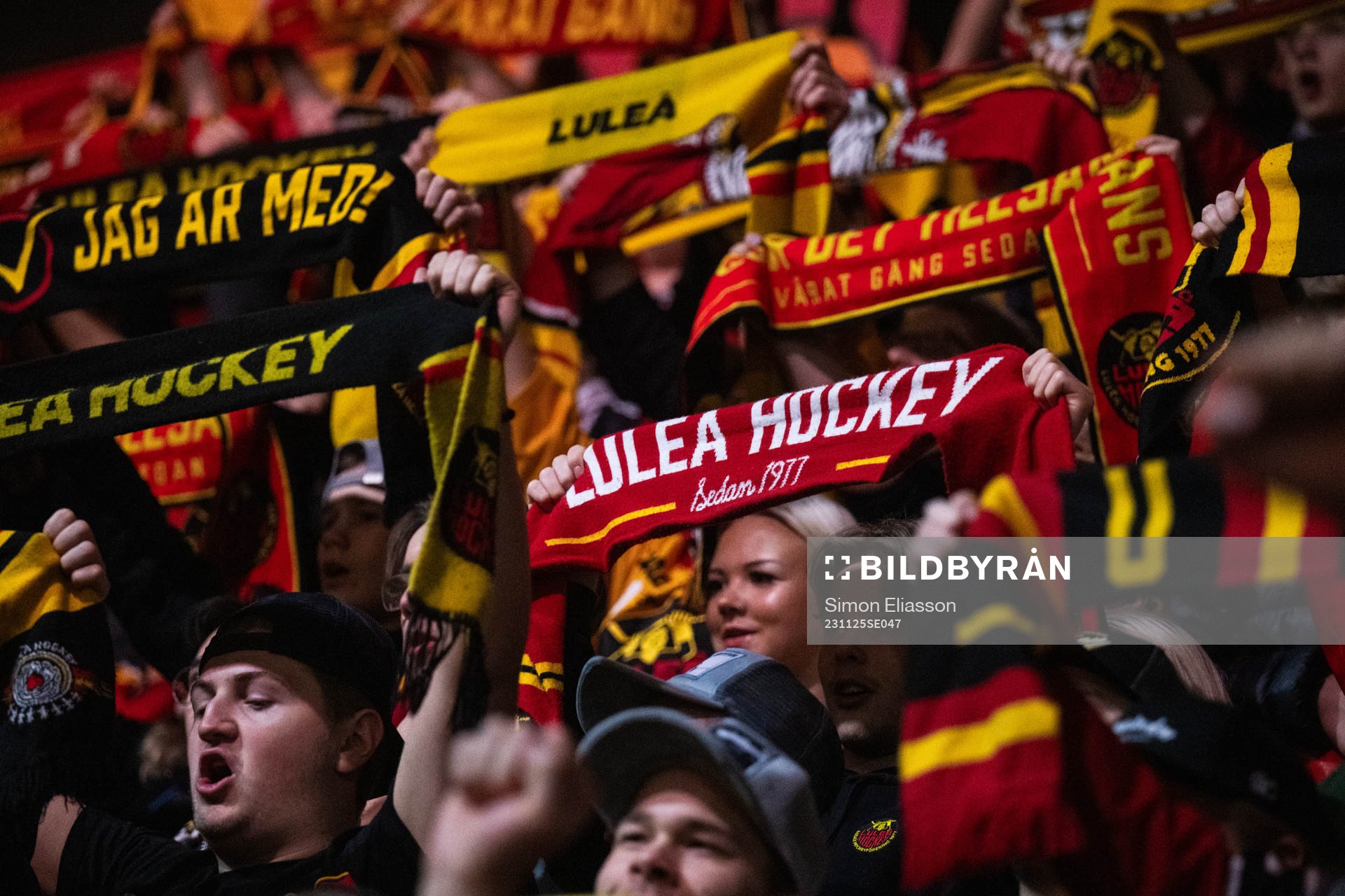 Luleås supportrar