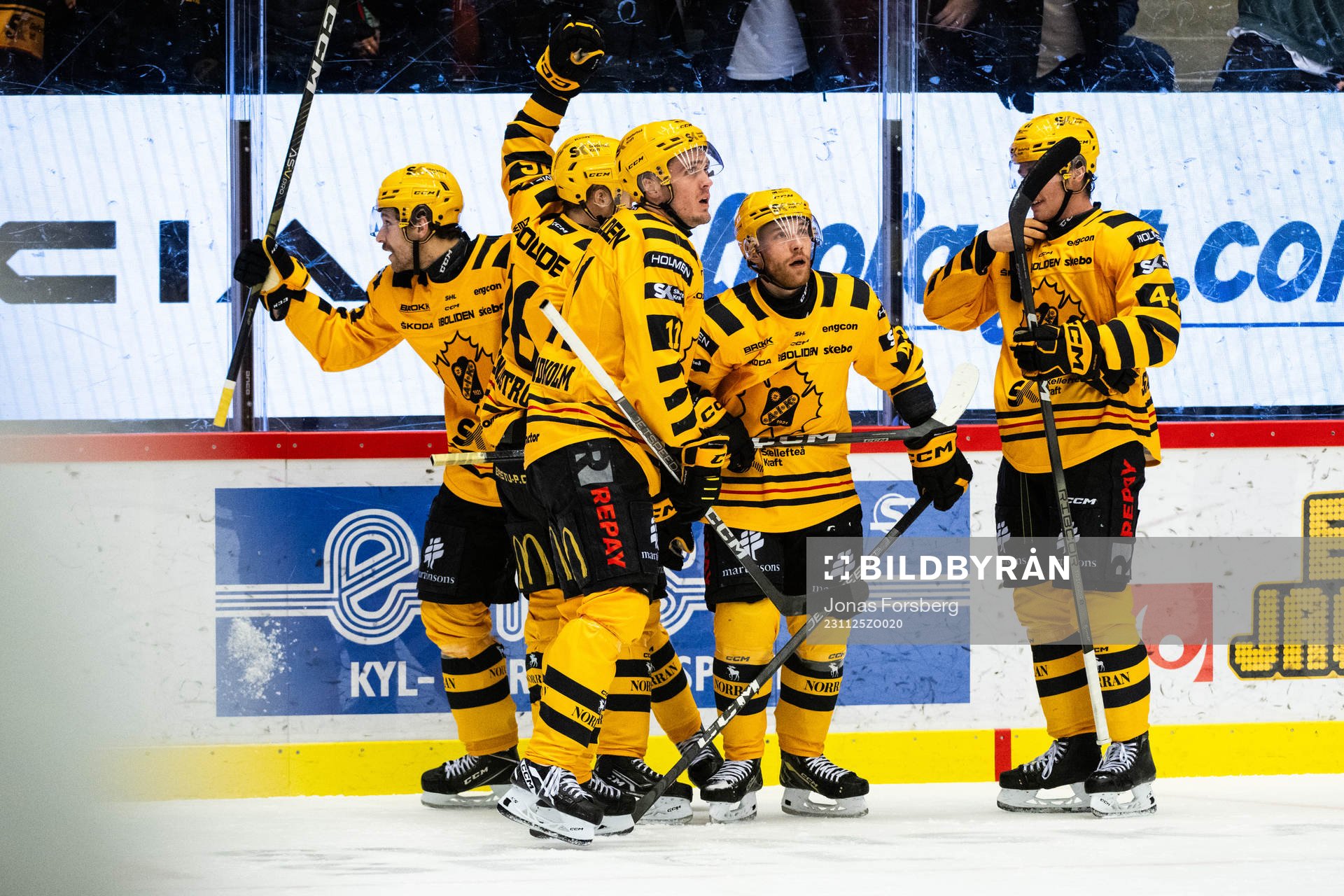 Skellefteås Filip Sandberg jublar