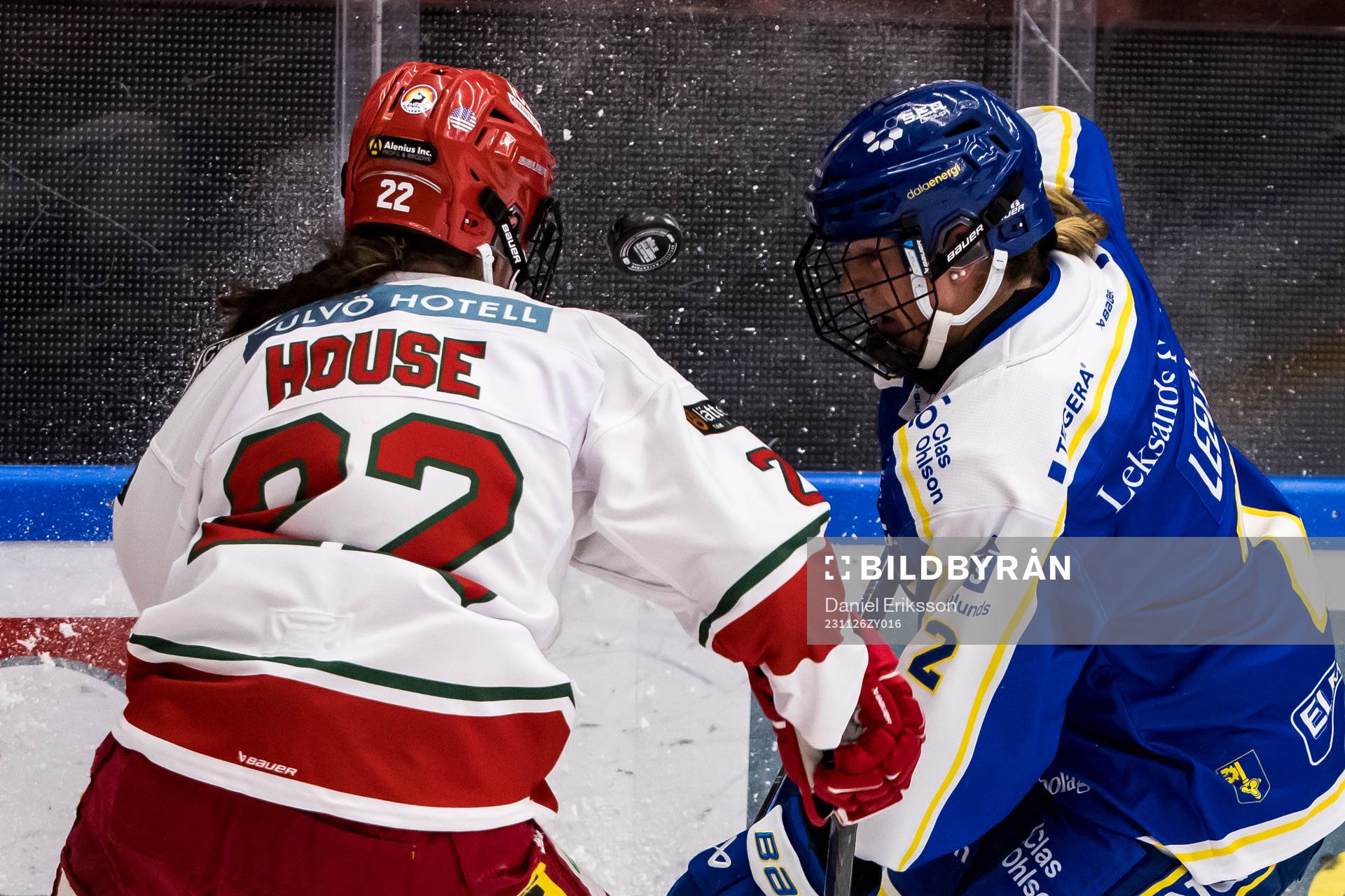 Leksands Taylor Leech