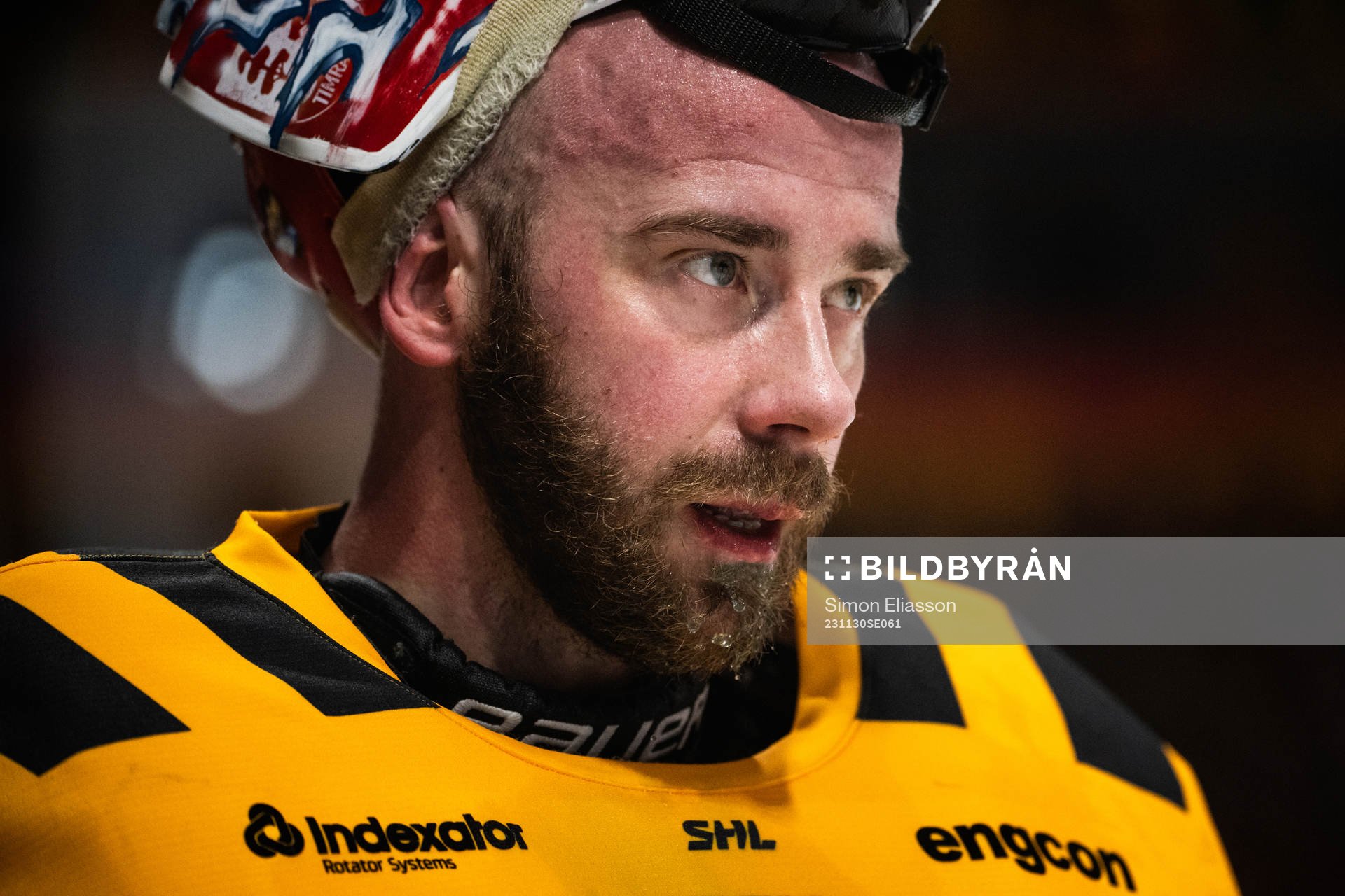 Skellefteås målvakt David Rautio