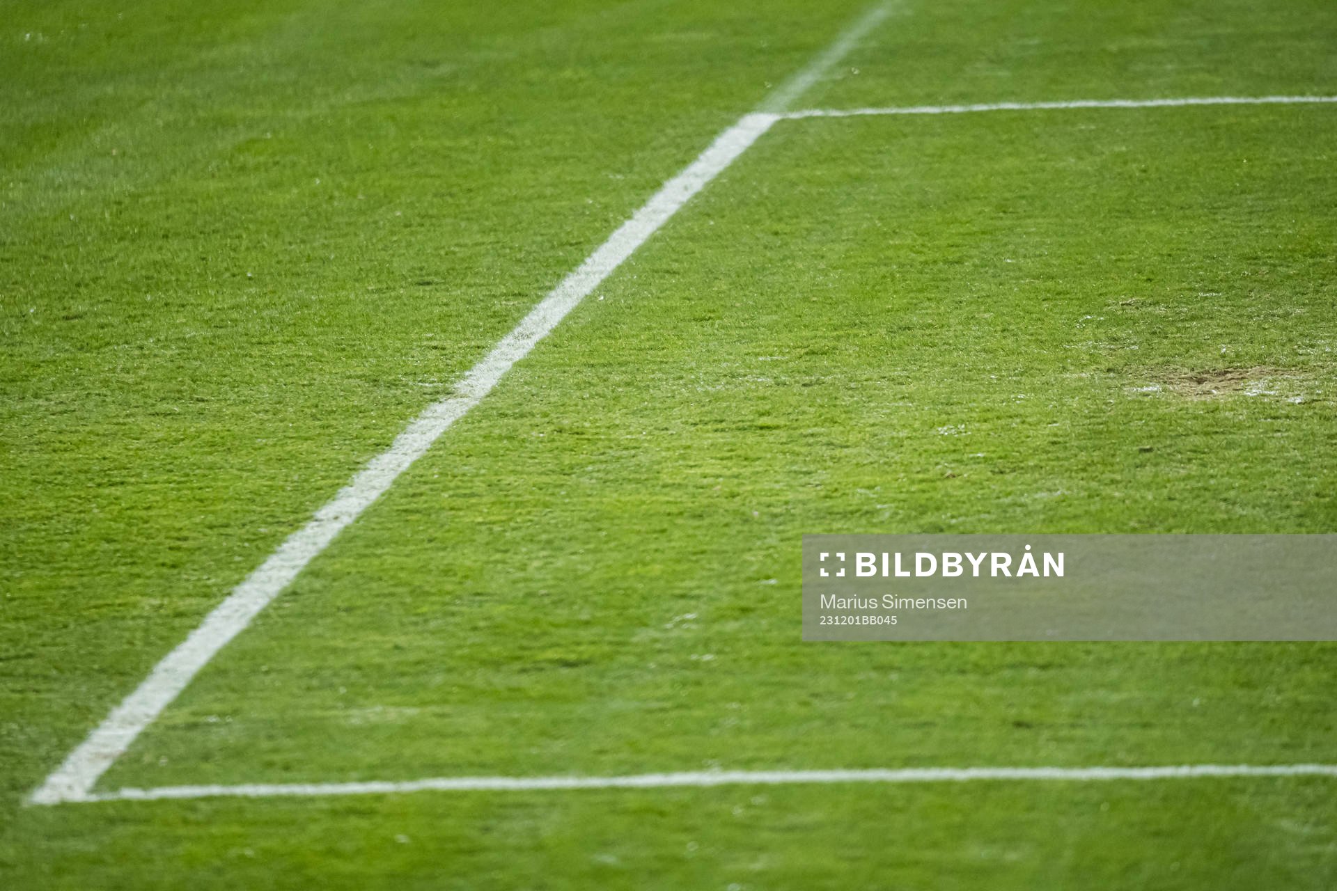 Quality of the grass at Ullevaal Stadion