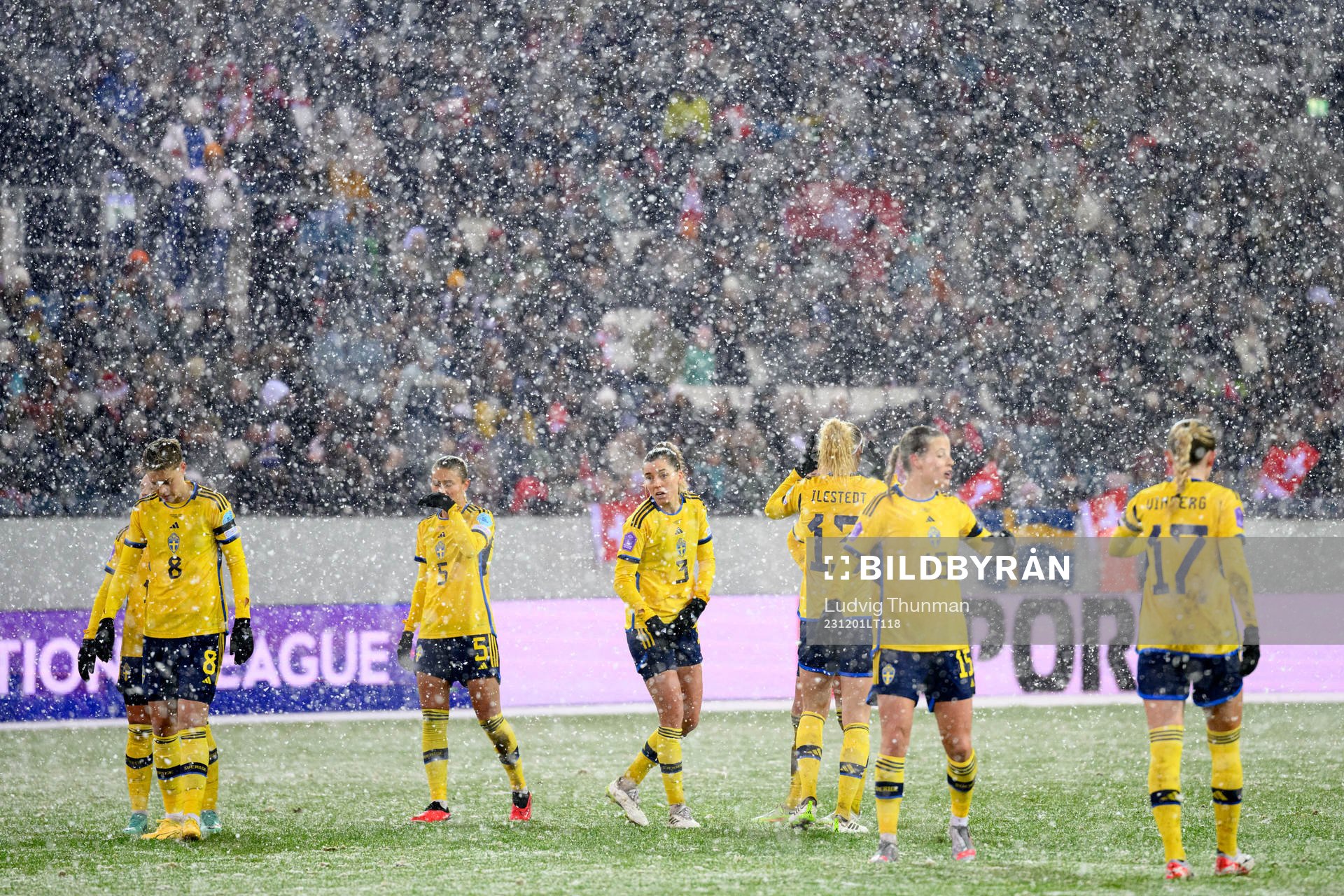 Players of Sweden