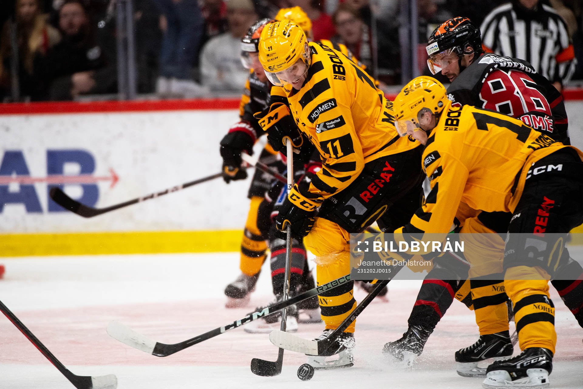 Skellefteås Max Lindholm och Skellefteås Linus Lindström