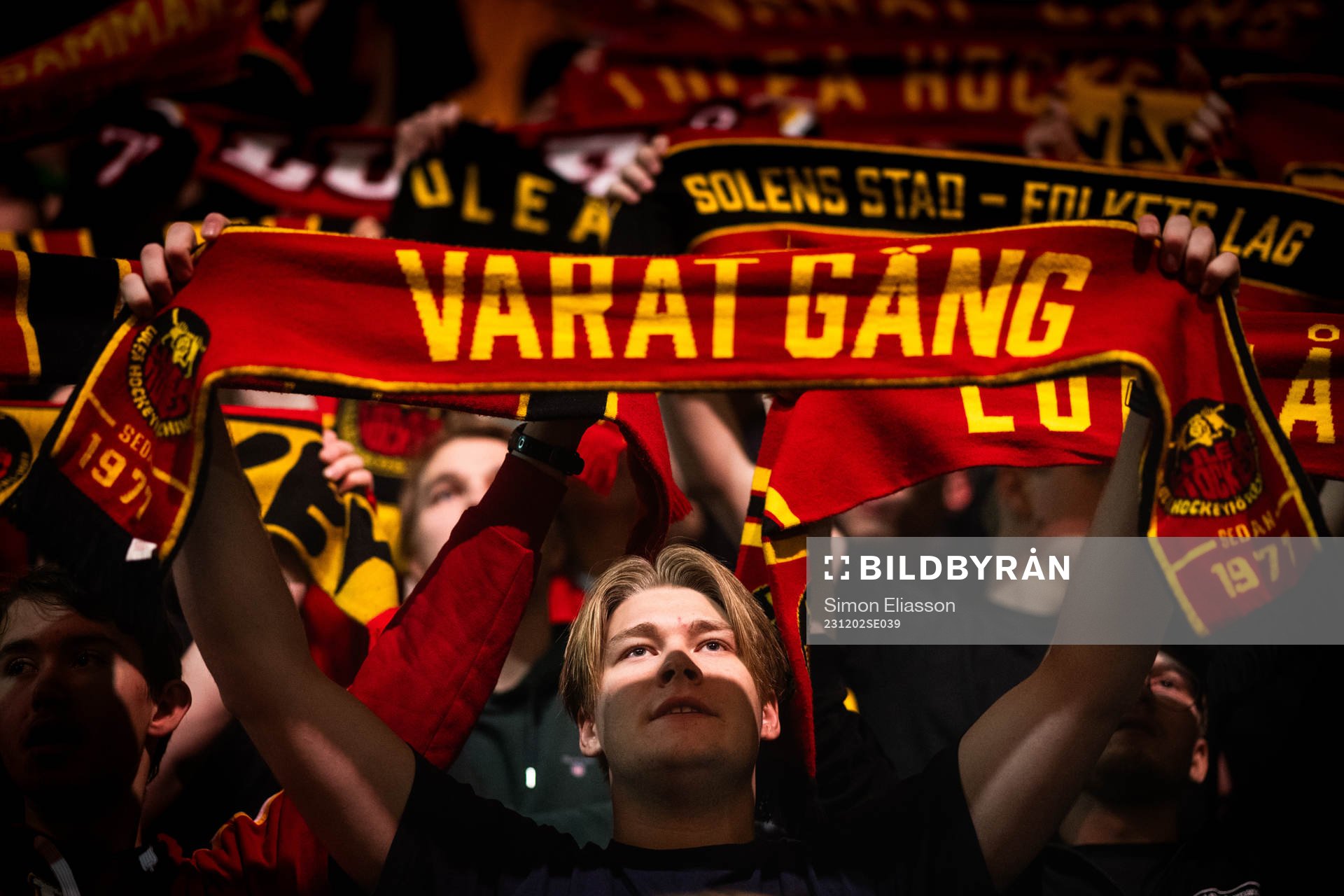 Luleås supportrar