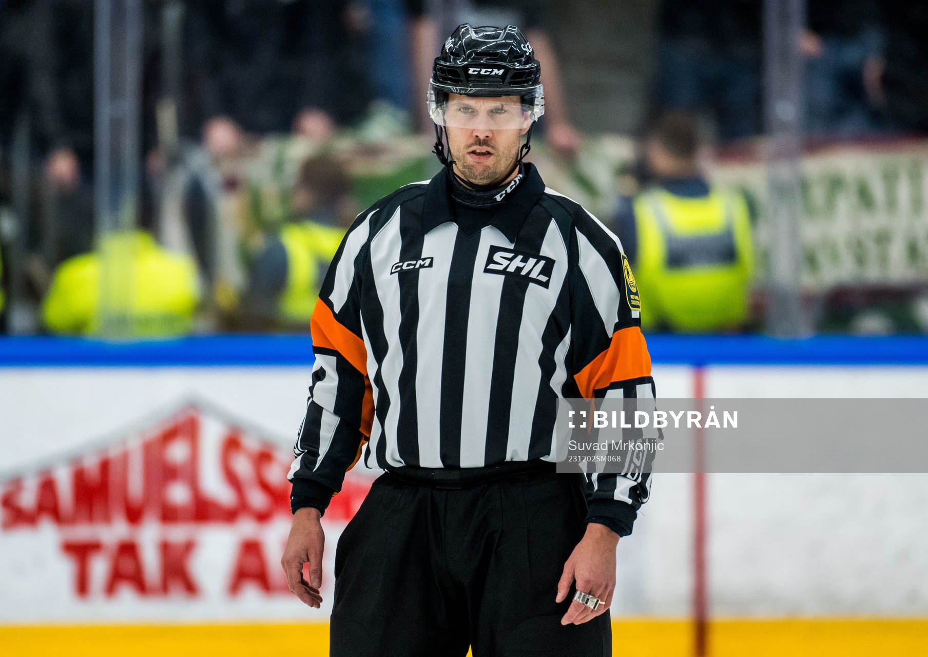 Domare Johan Magnusson