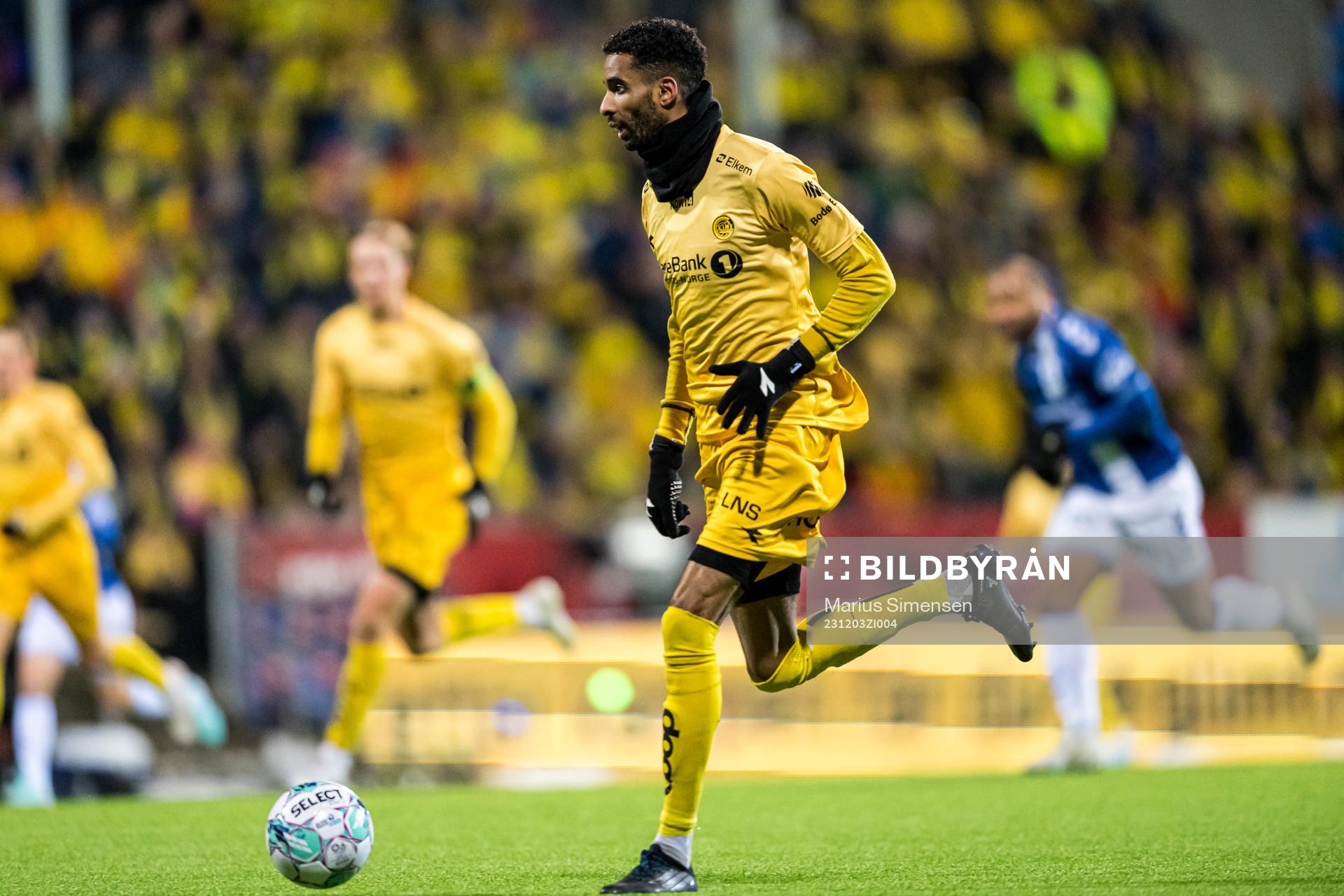 Amahl Pellegrino of Bodø/Glimt