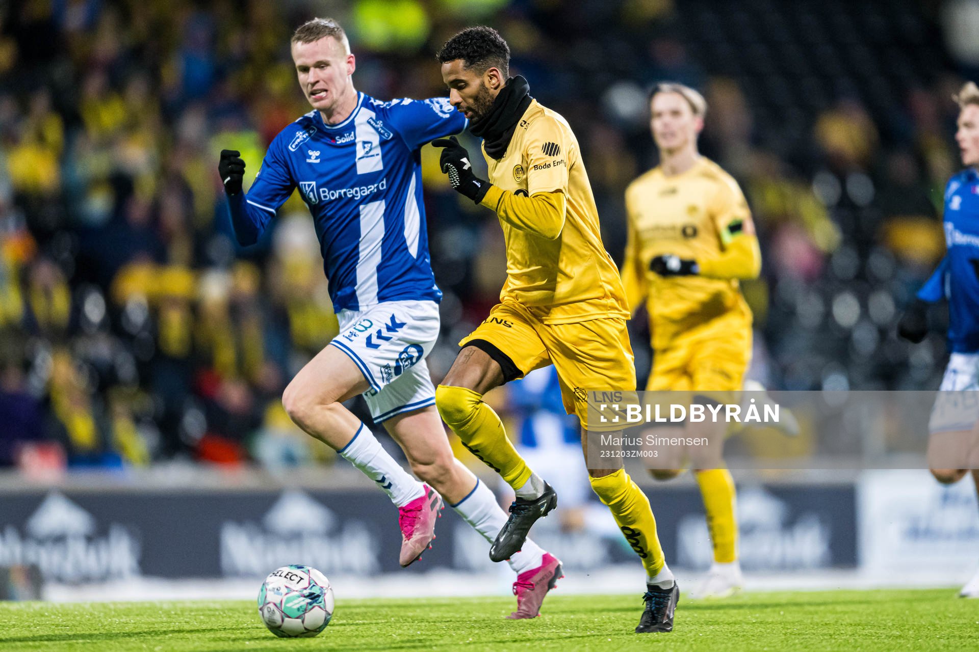 Amahl Pellegrino of Bodø/Glimt
