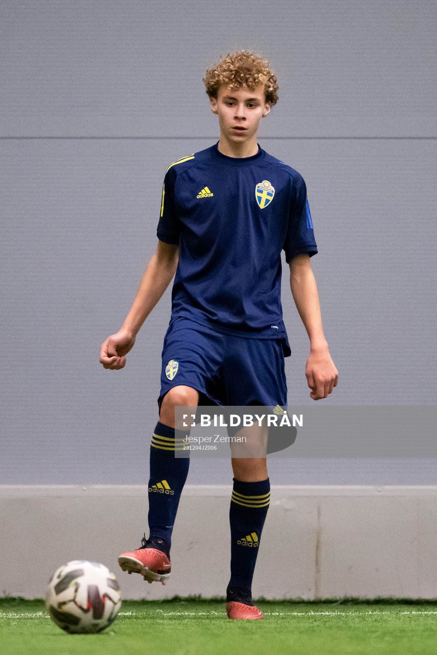 Vincent Seger Ibrahimovic