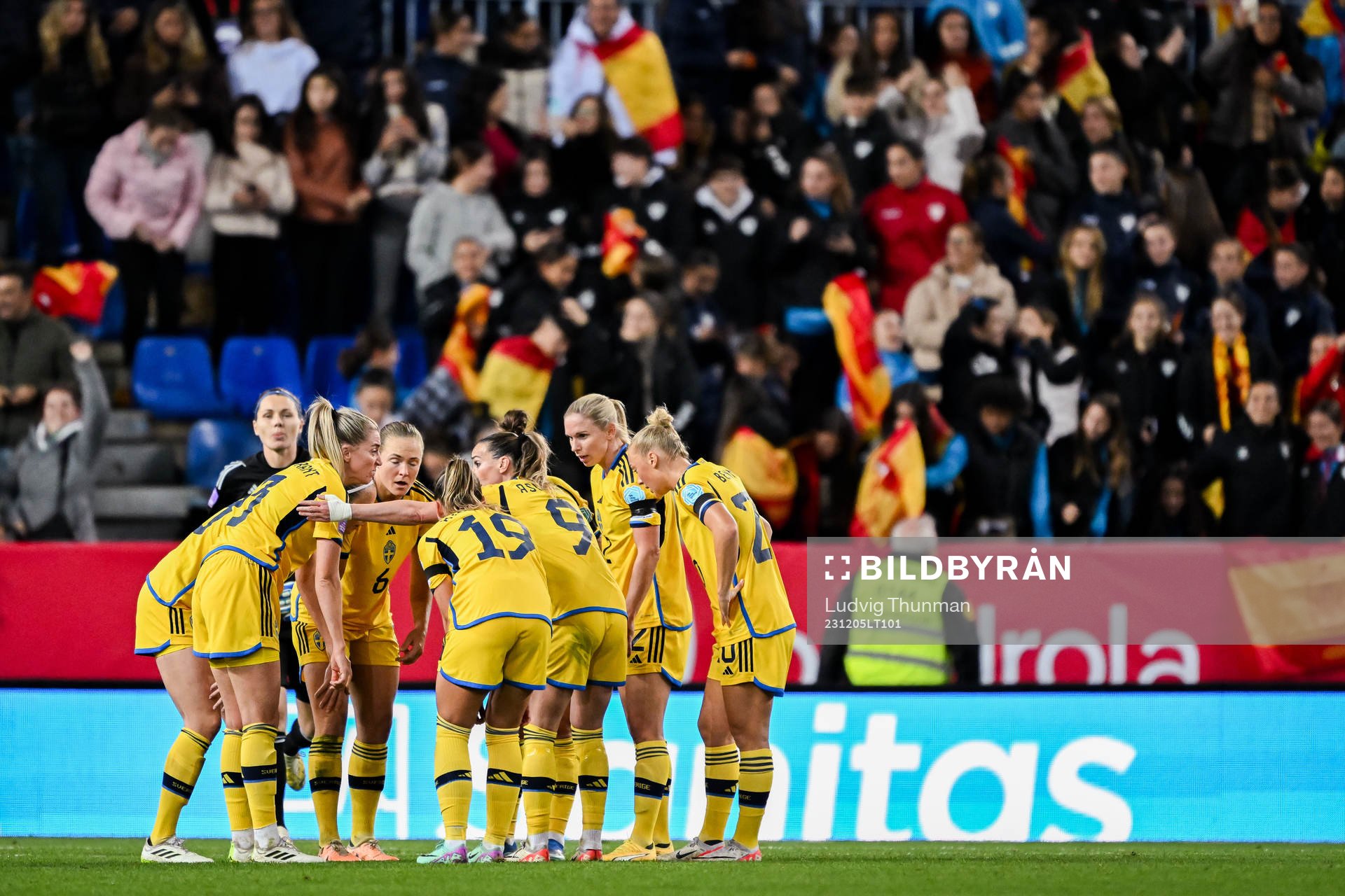 Players of Sweden