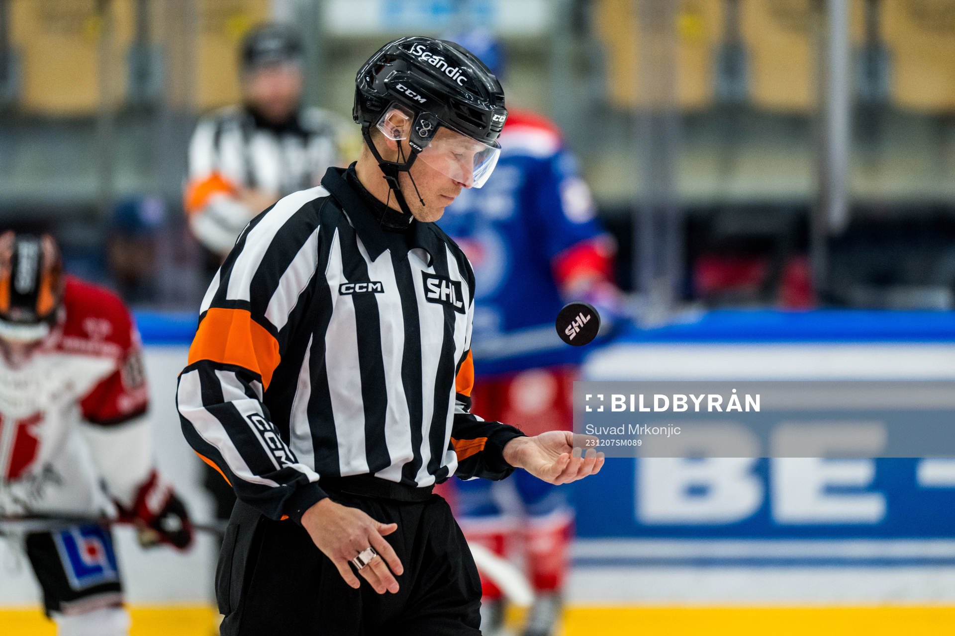 Domare Mikael Sjöqvist