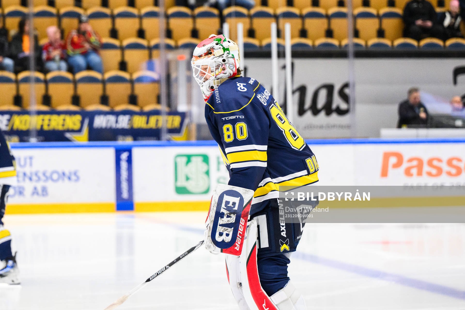 HV71s målvakt Frederik Dichow