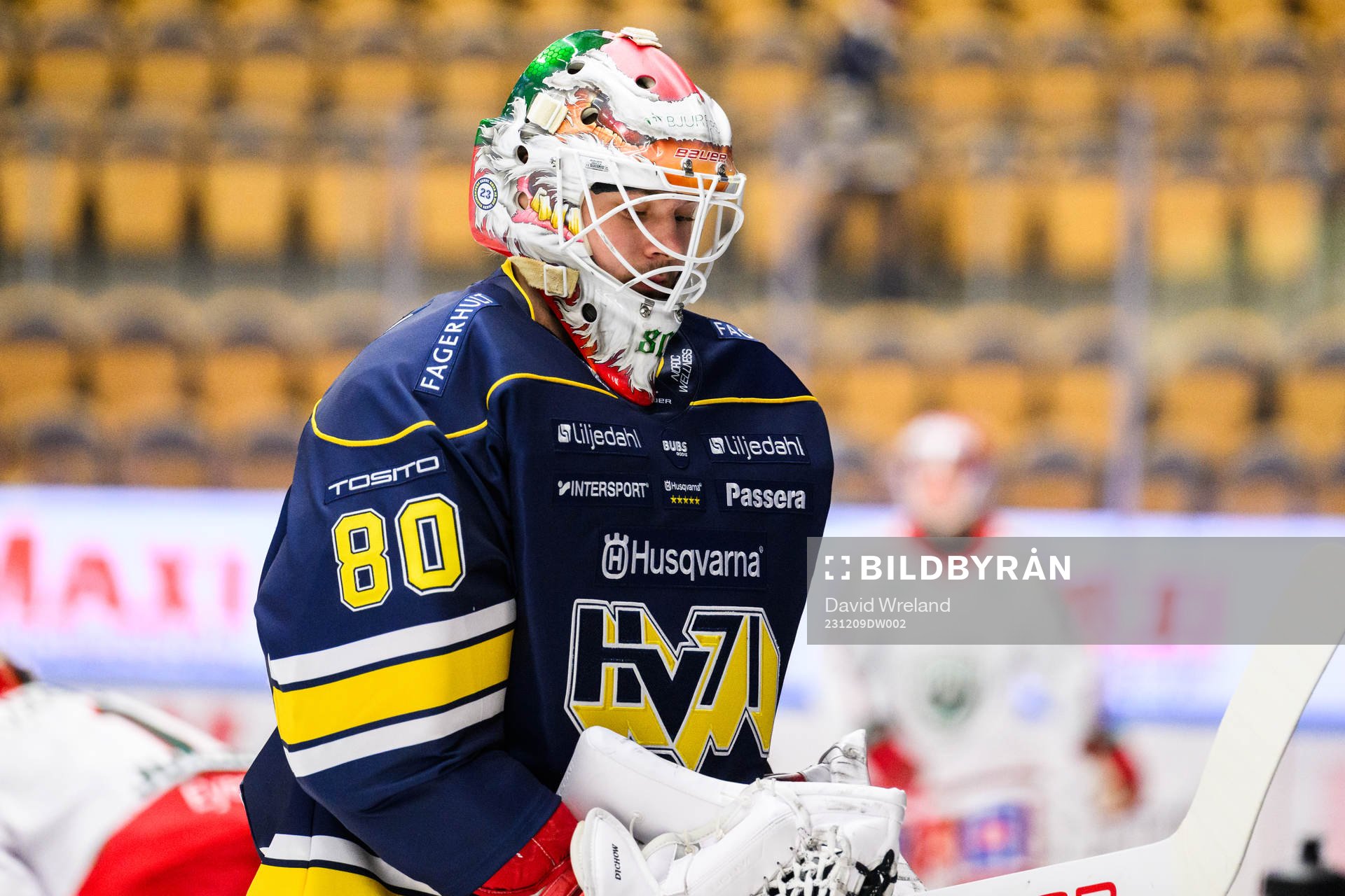 HV71s målvakt Frederik Dichow