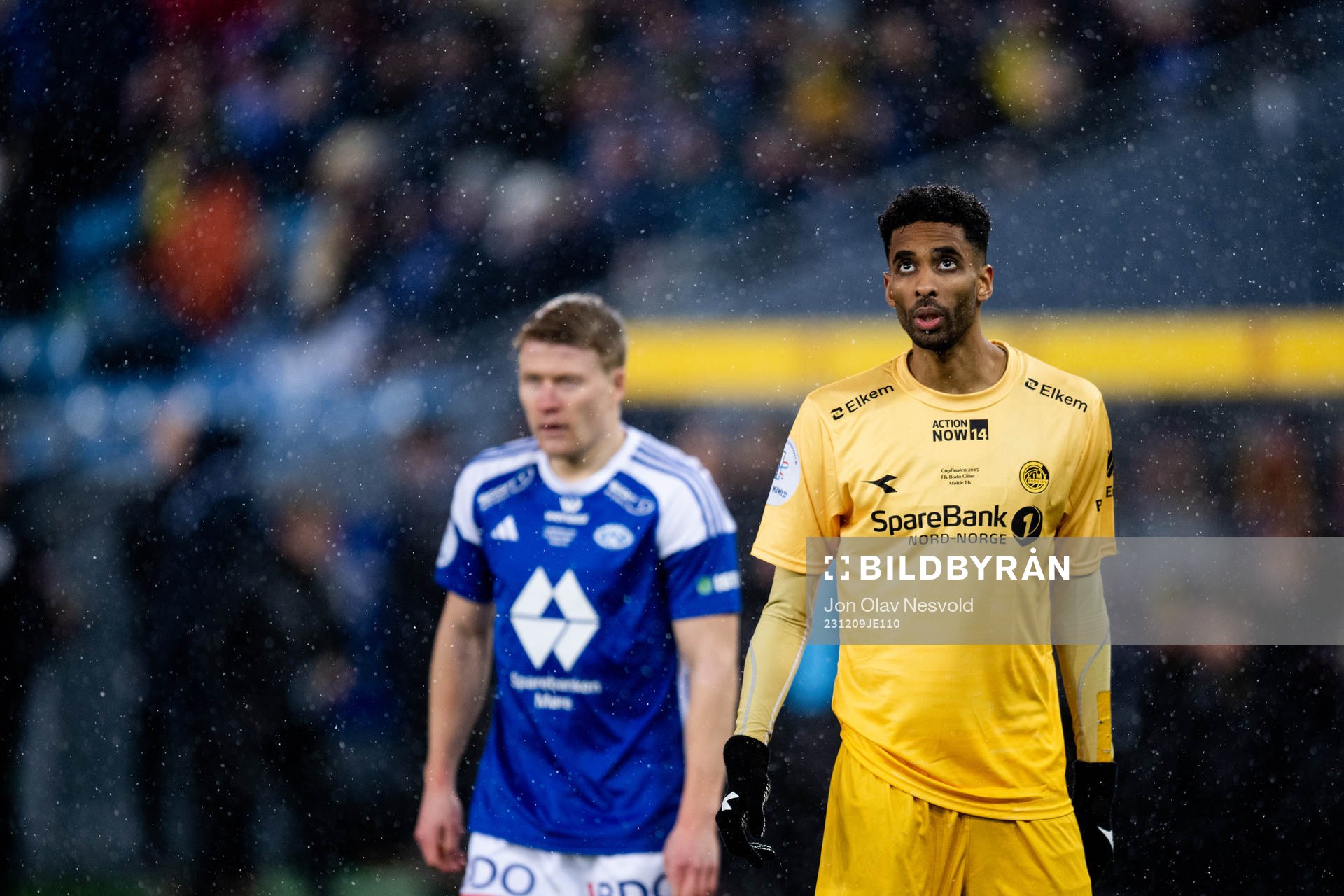 Amahl Pellegrino of Bodø/Glimt