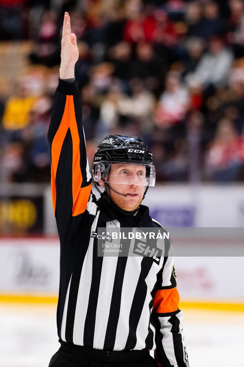 Domare Mikael Holm