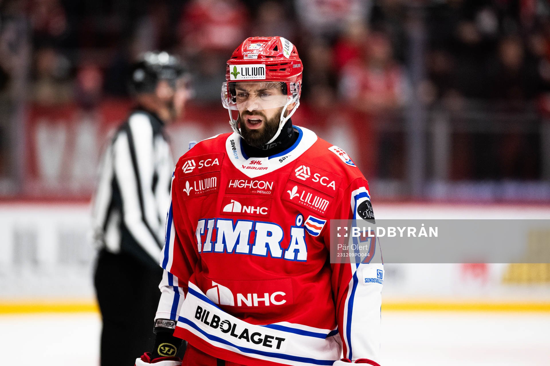 Timrås Robin Hanzl