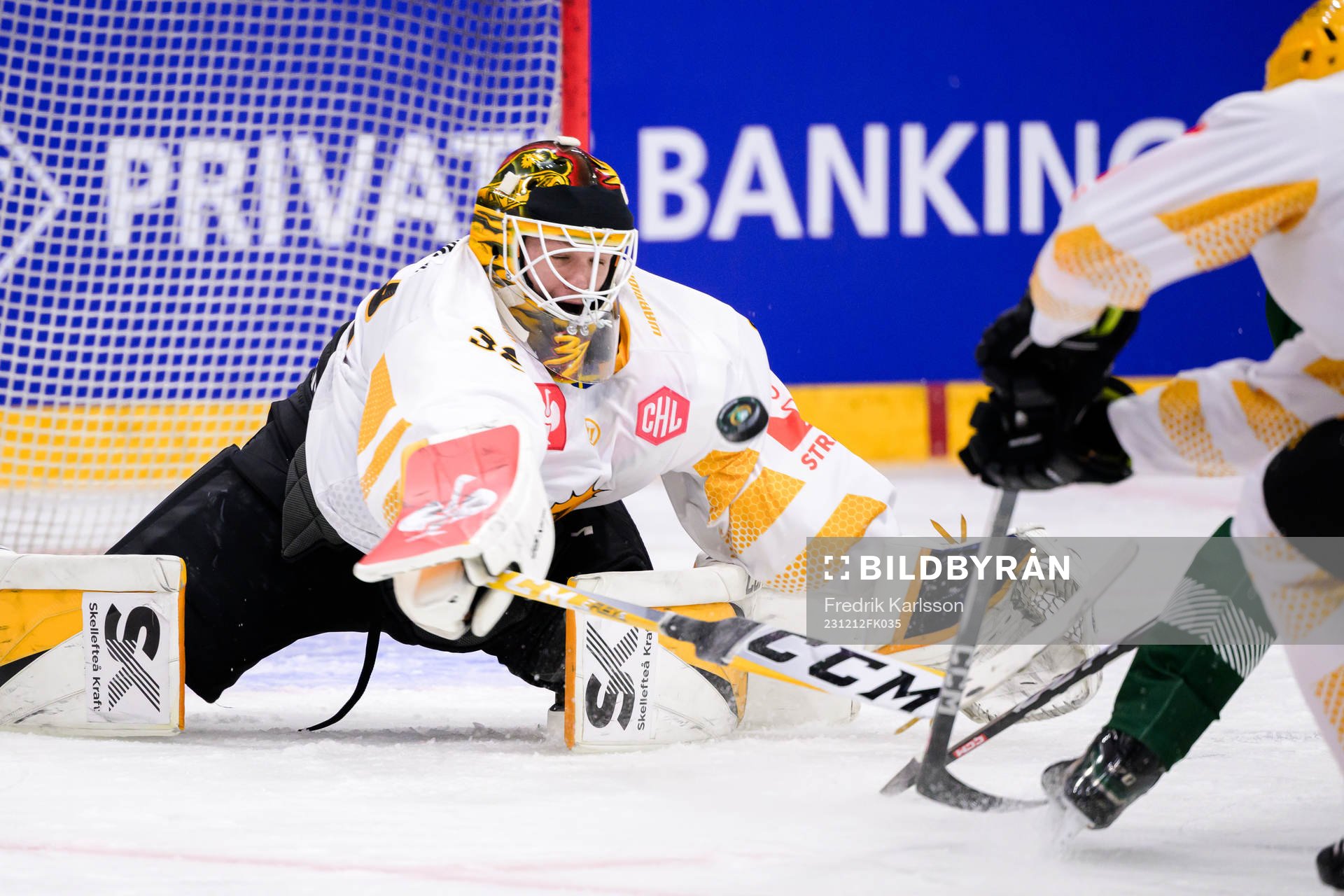 goaltender David Ronnestål of Skellefteå