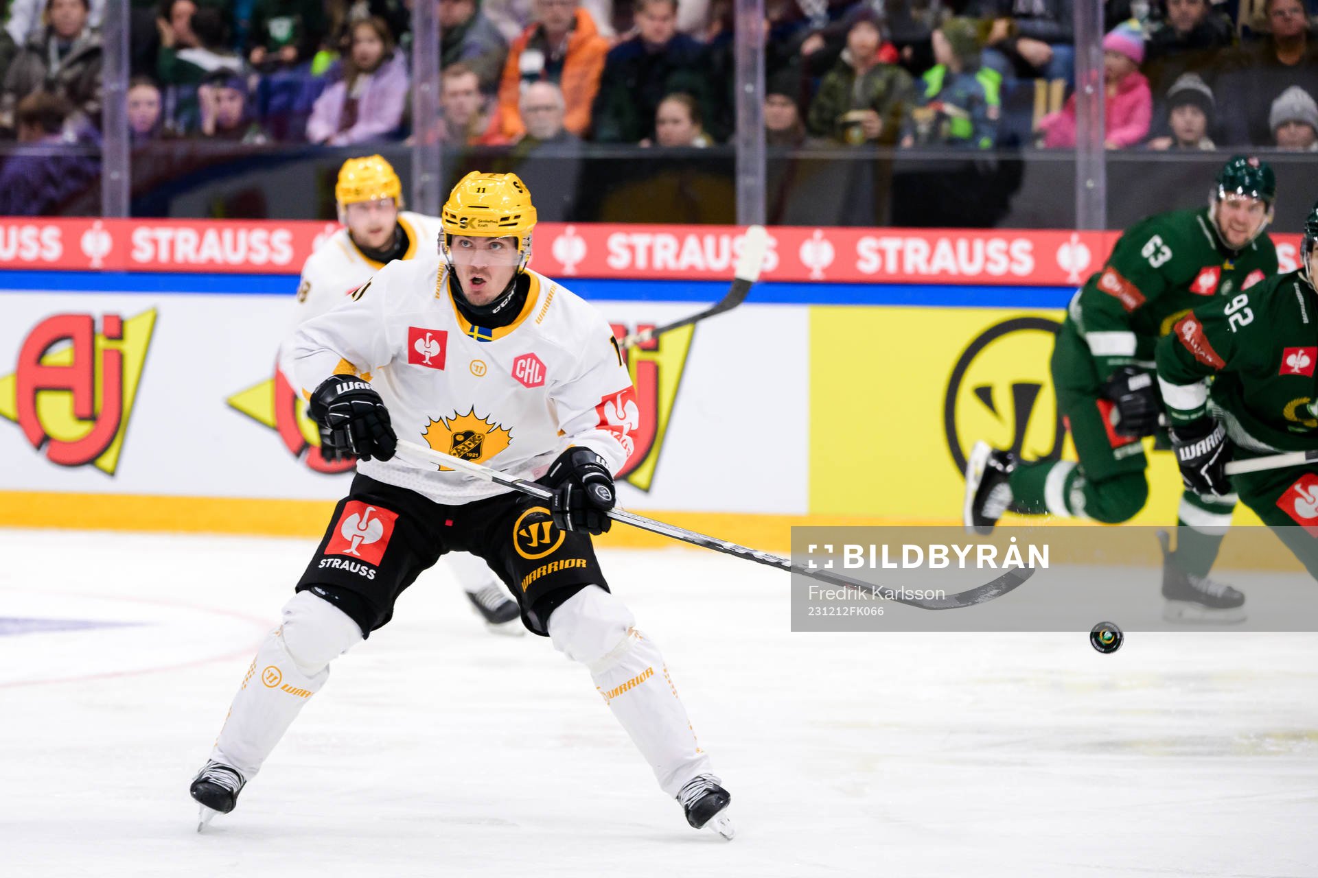 Max Lindholm of Skellefteå