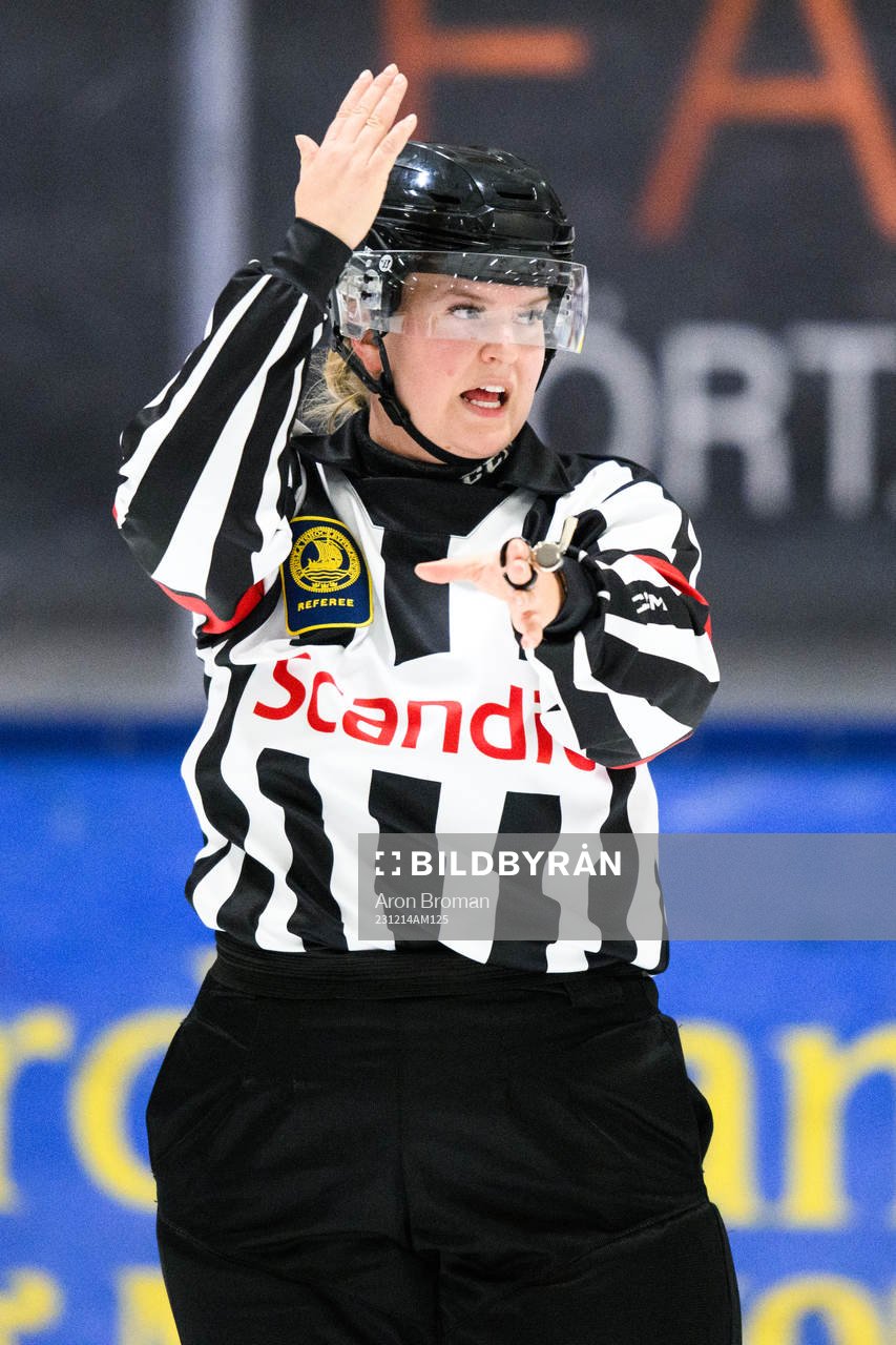 Domare Maria Furberg
