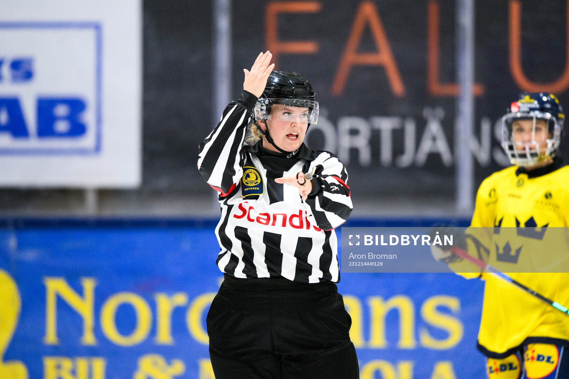 Domare Maria Furberg