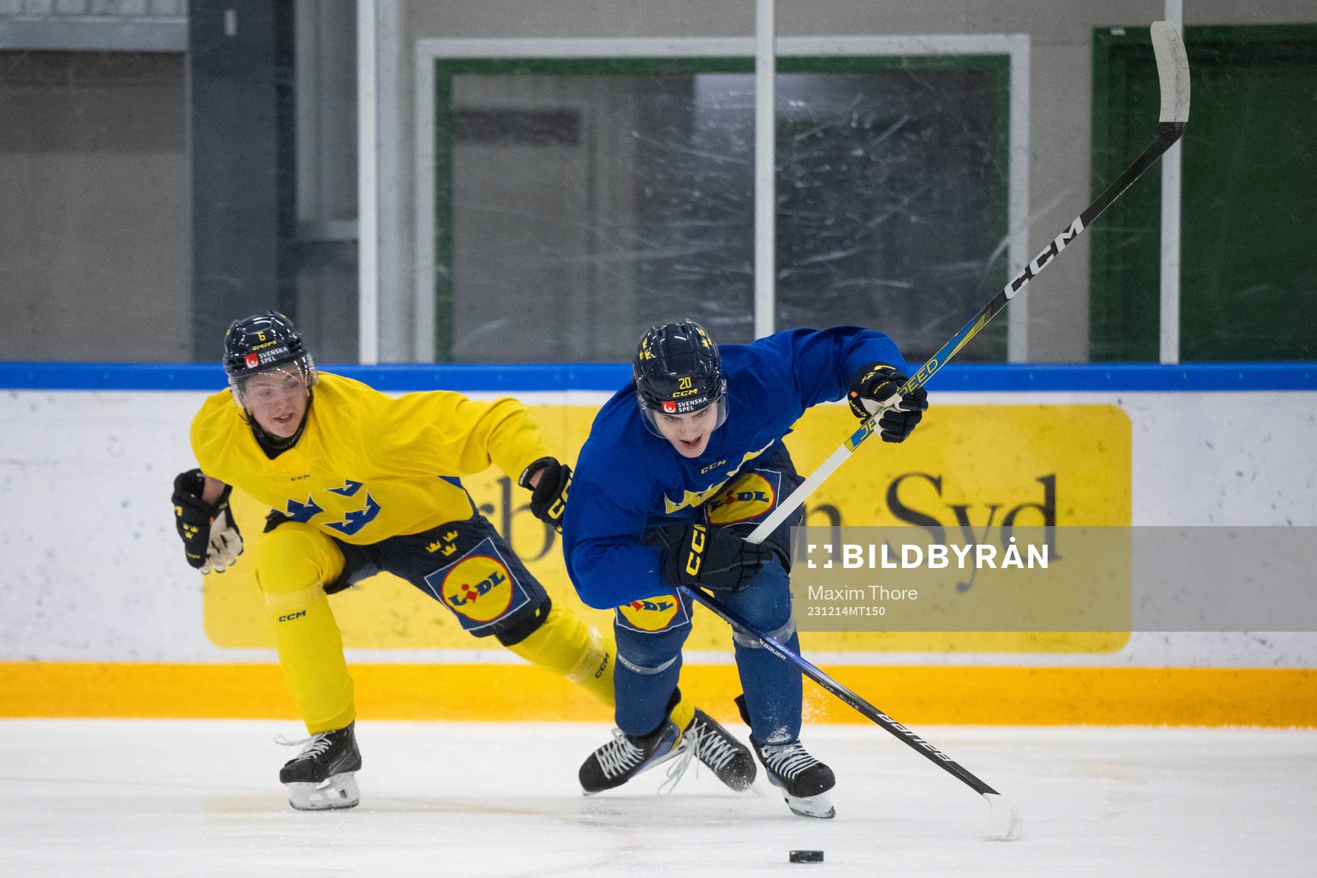 Anton Johansson and Liam Öhgren of the Swedish under-20