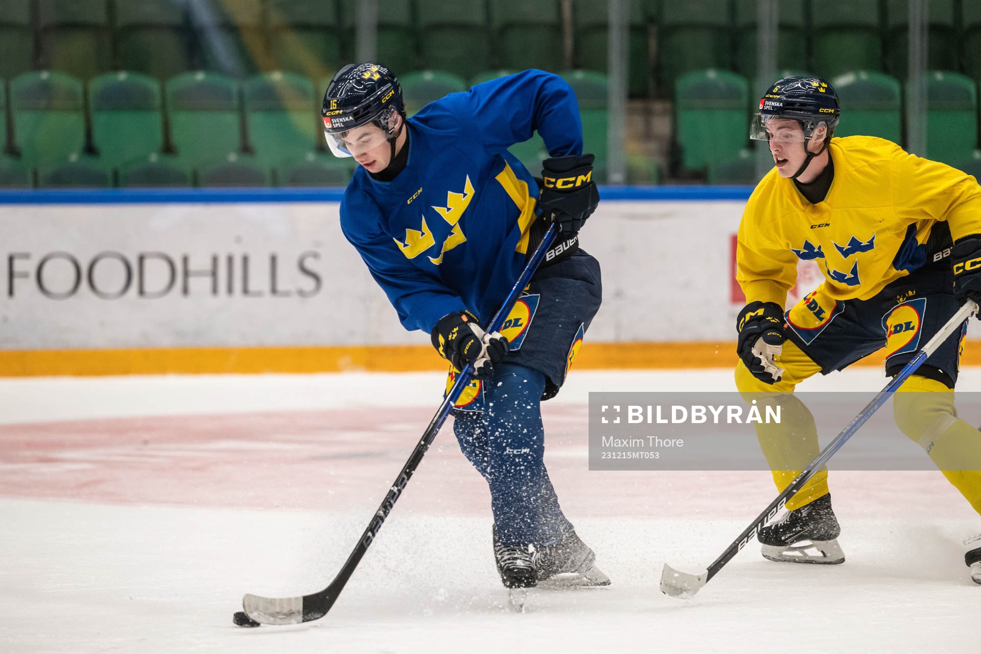 Felix Unger Sörum and Anton Johansson of the Swedish