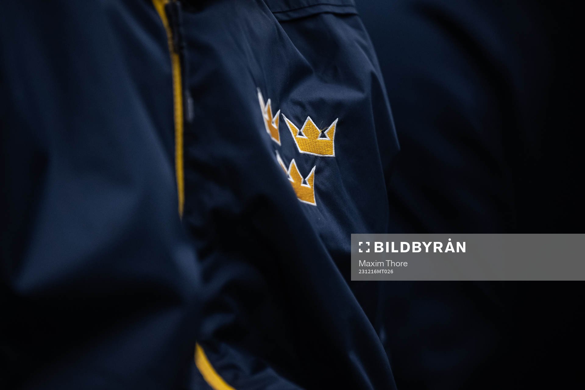The logotype of the Swedish national ice hockey team