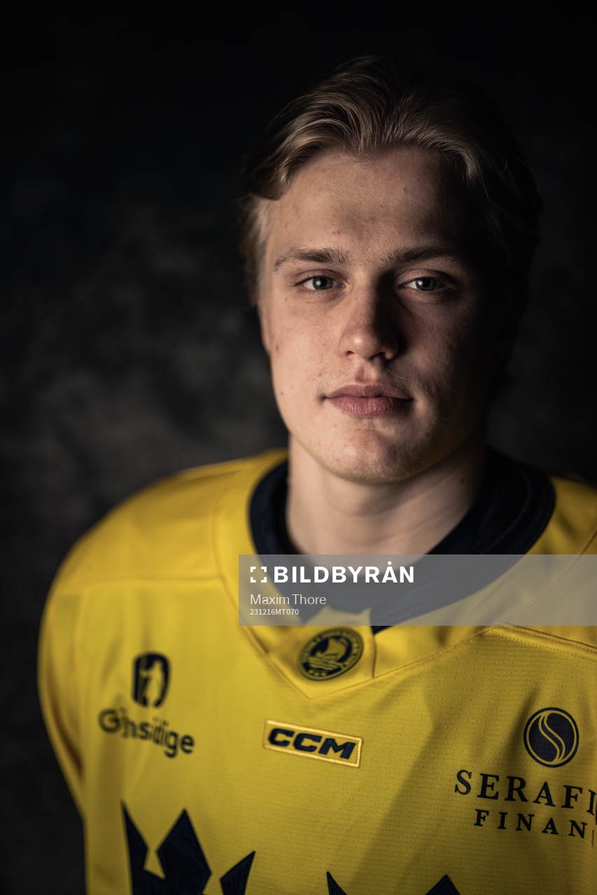 Elias Pettersson of the Swedish under-20 national ice