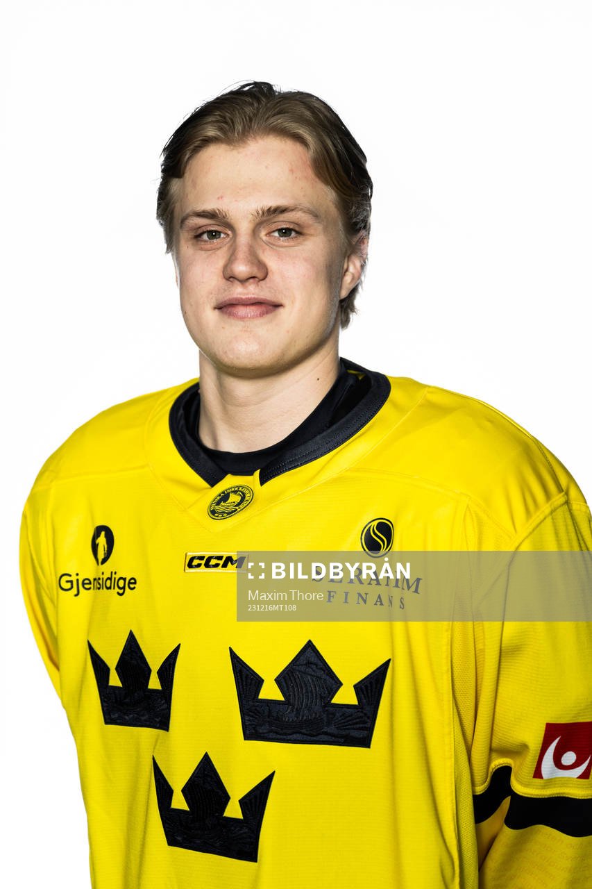Elias Pettersson of the Swedish under-20 national ice