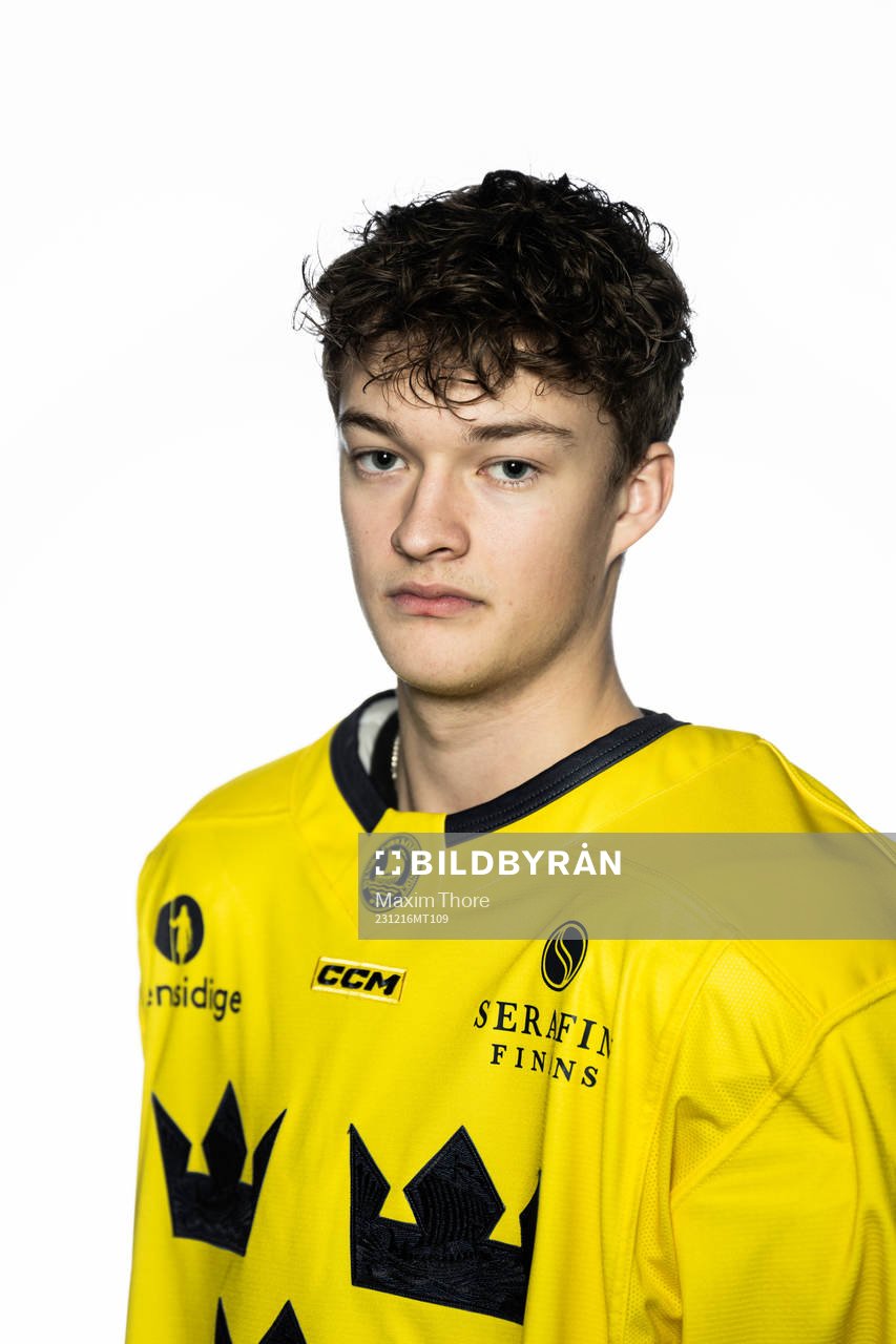 Fabian Wagner of the Swedish under-20 national ice hockey