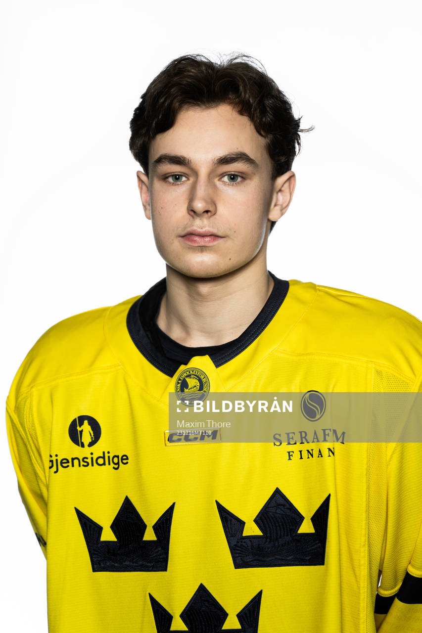 Felix Unger Sörum of the Swedish under-20 national ice